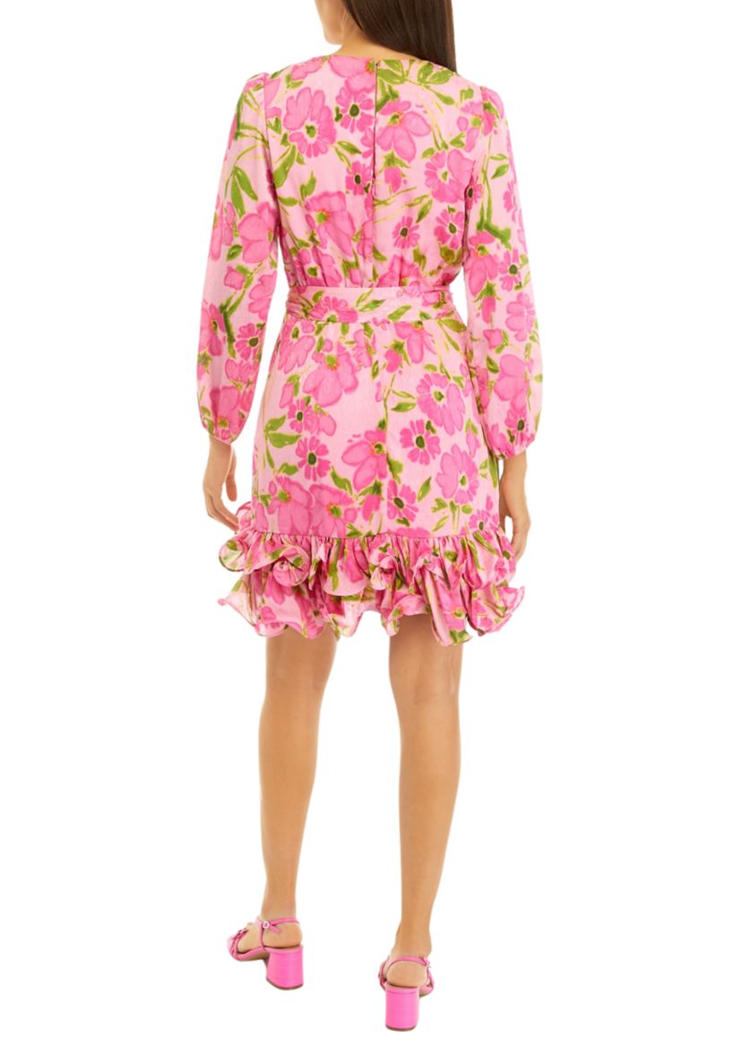 Womens Long Sleeve V-Neck Floral Print Fit and Flare Dress