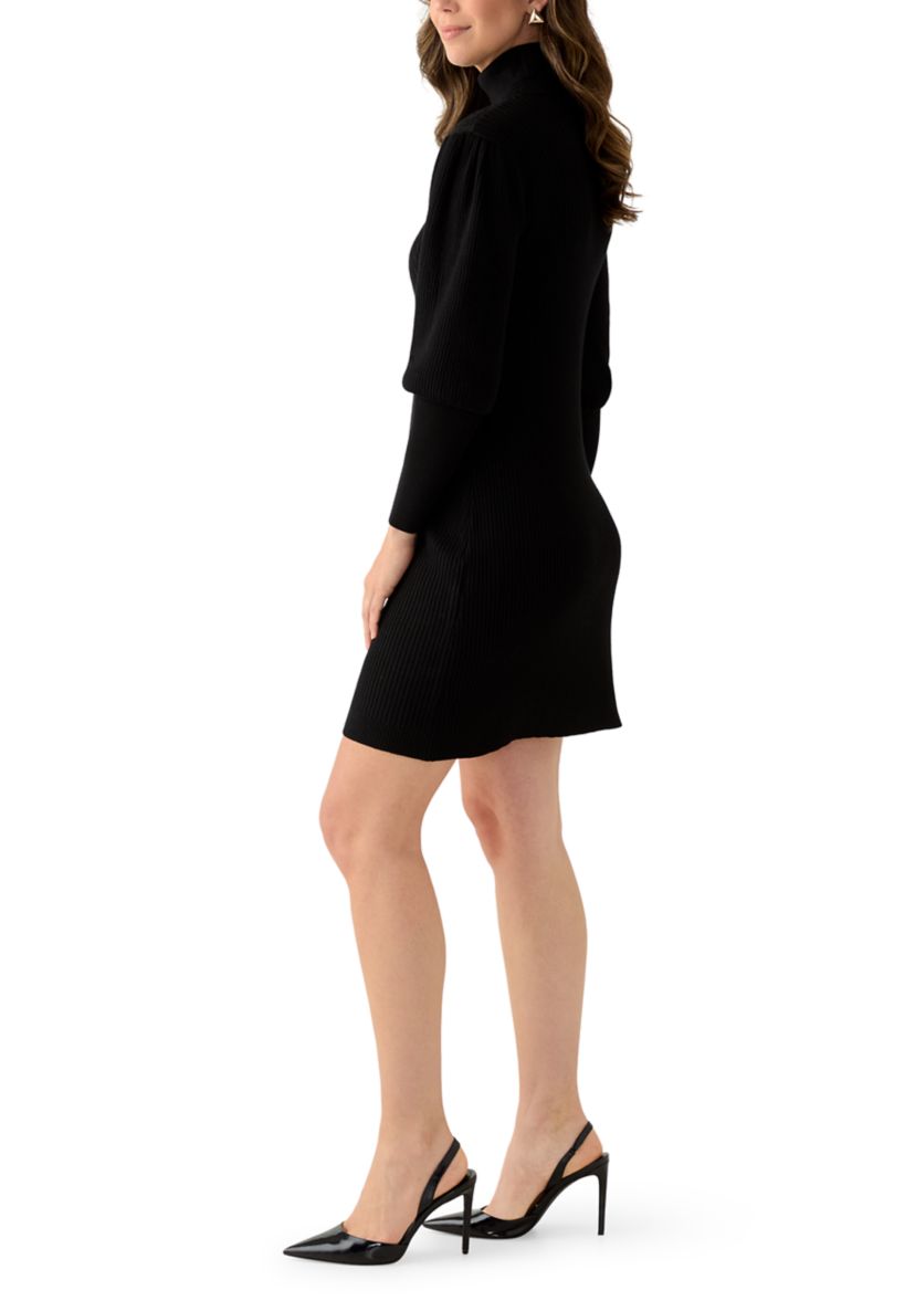 Womens Long Sleeve Mock Neck Slim Sweater Dress