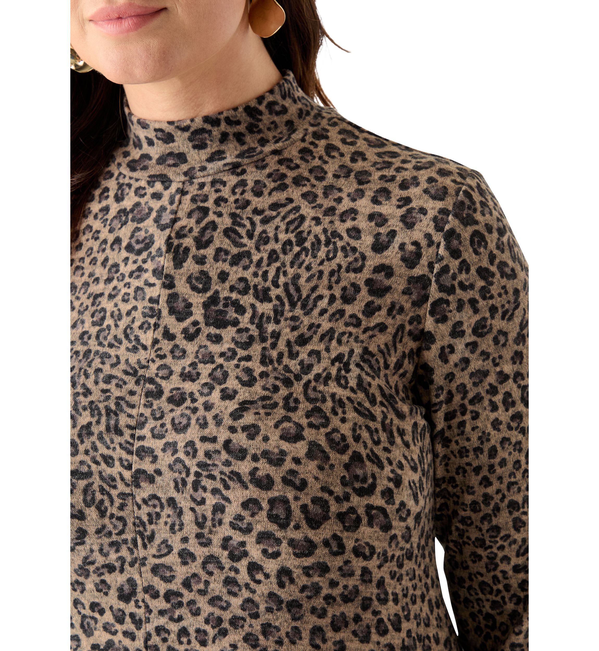 Plus Size A-Line Animal Print Sweater Dress