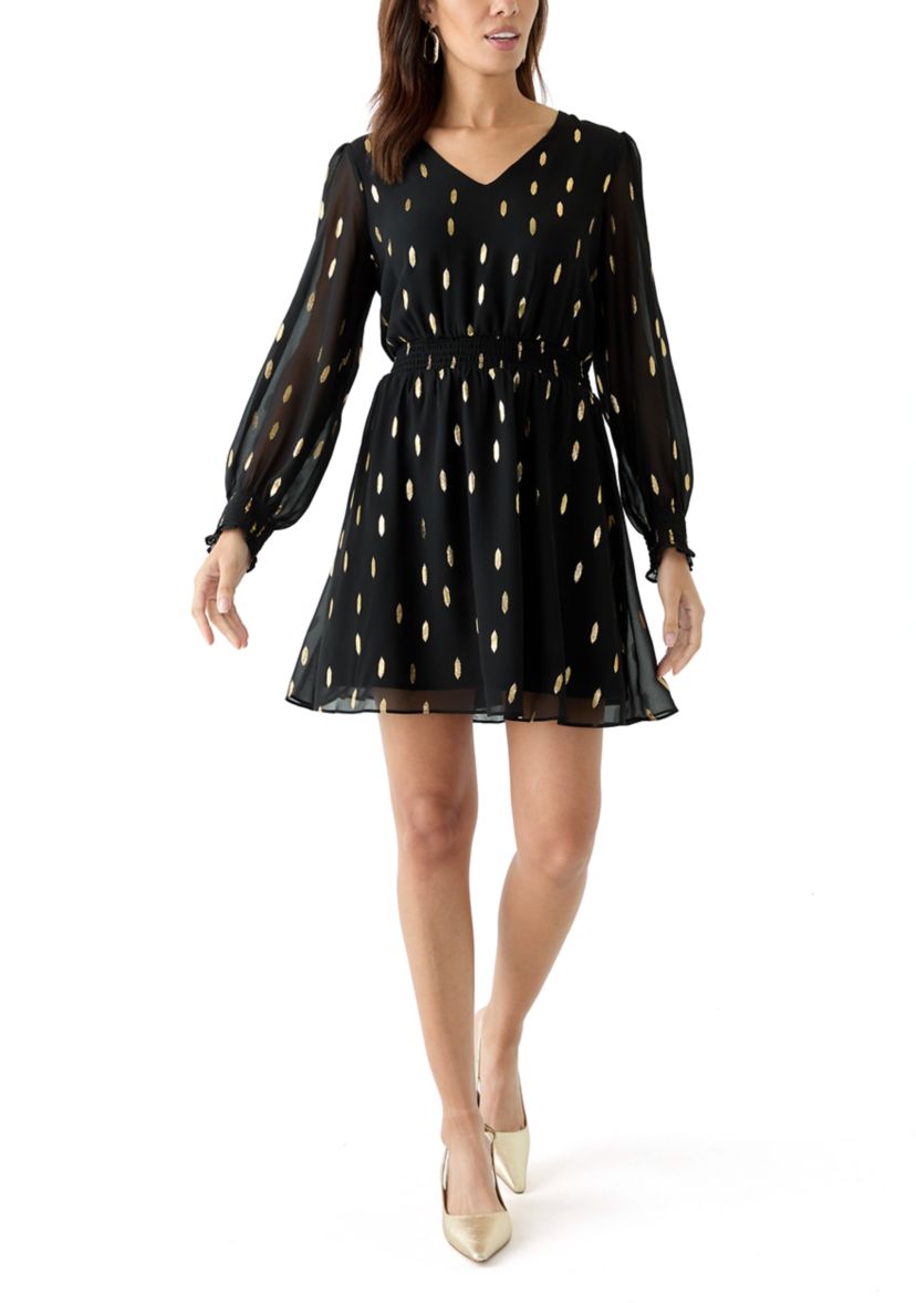 Womens Long Sleeve V-Neck Printed Chiffon Fit and Flare Dress