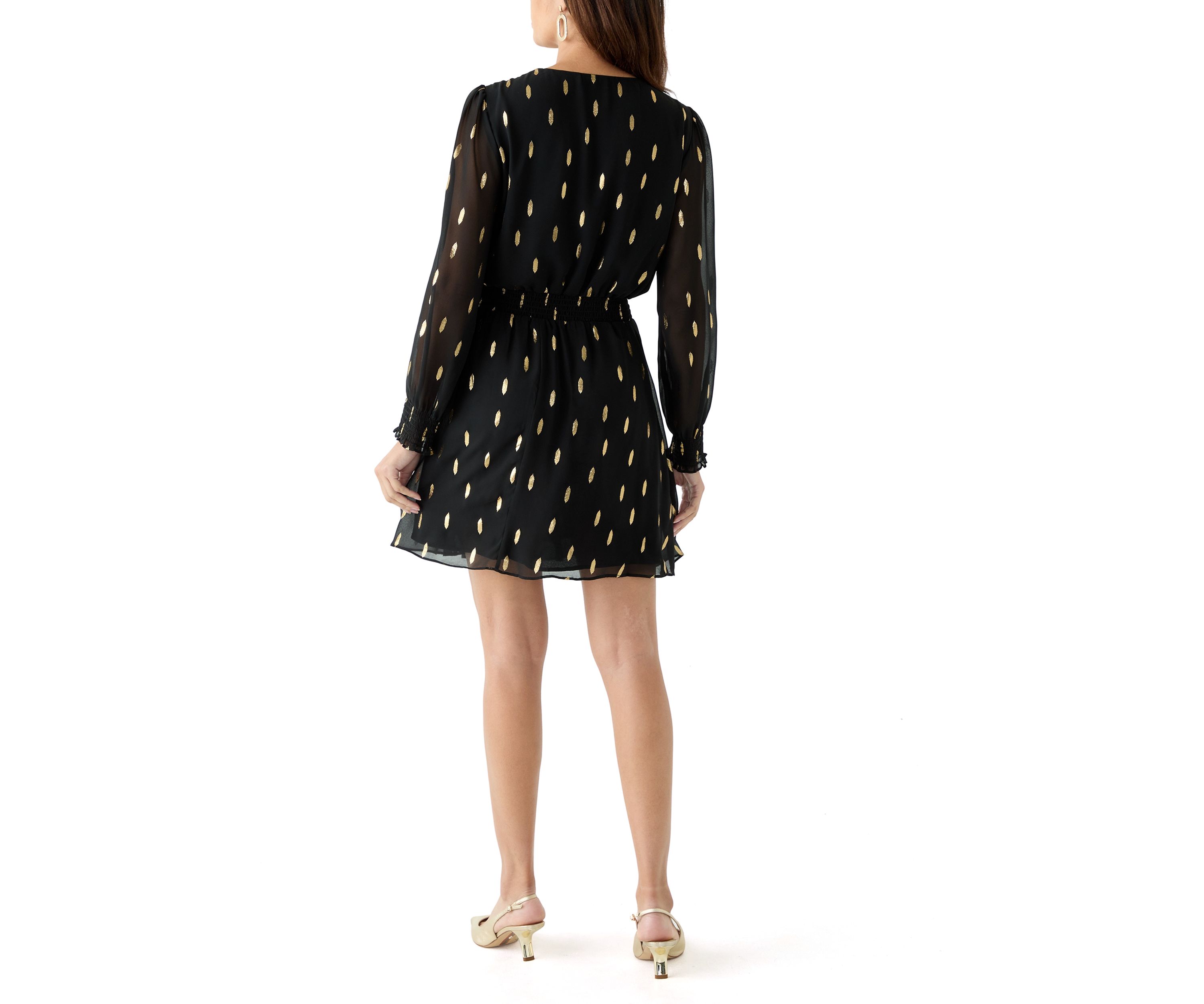 Womens Long Sleeve V-Neck Printed Chiffon Fit and Flare Dress