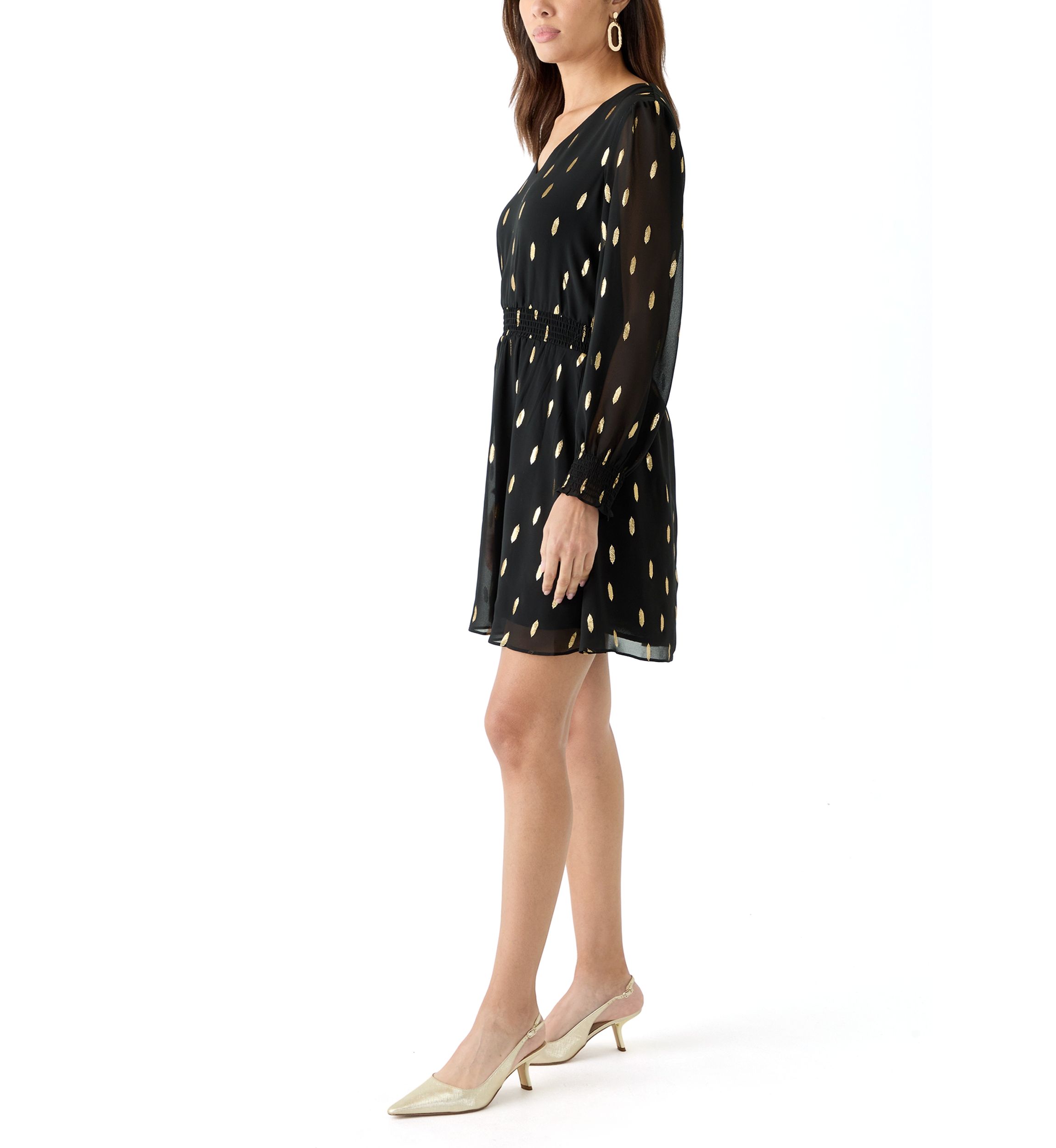 Womens Long Sleeve V-Neck Printed Chiffon Fit and Flare Dress