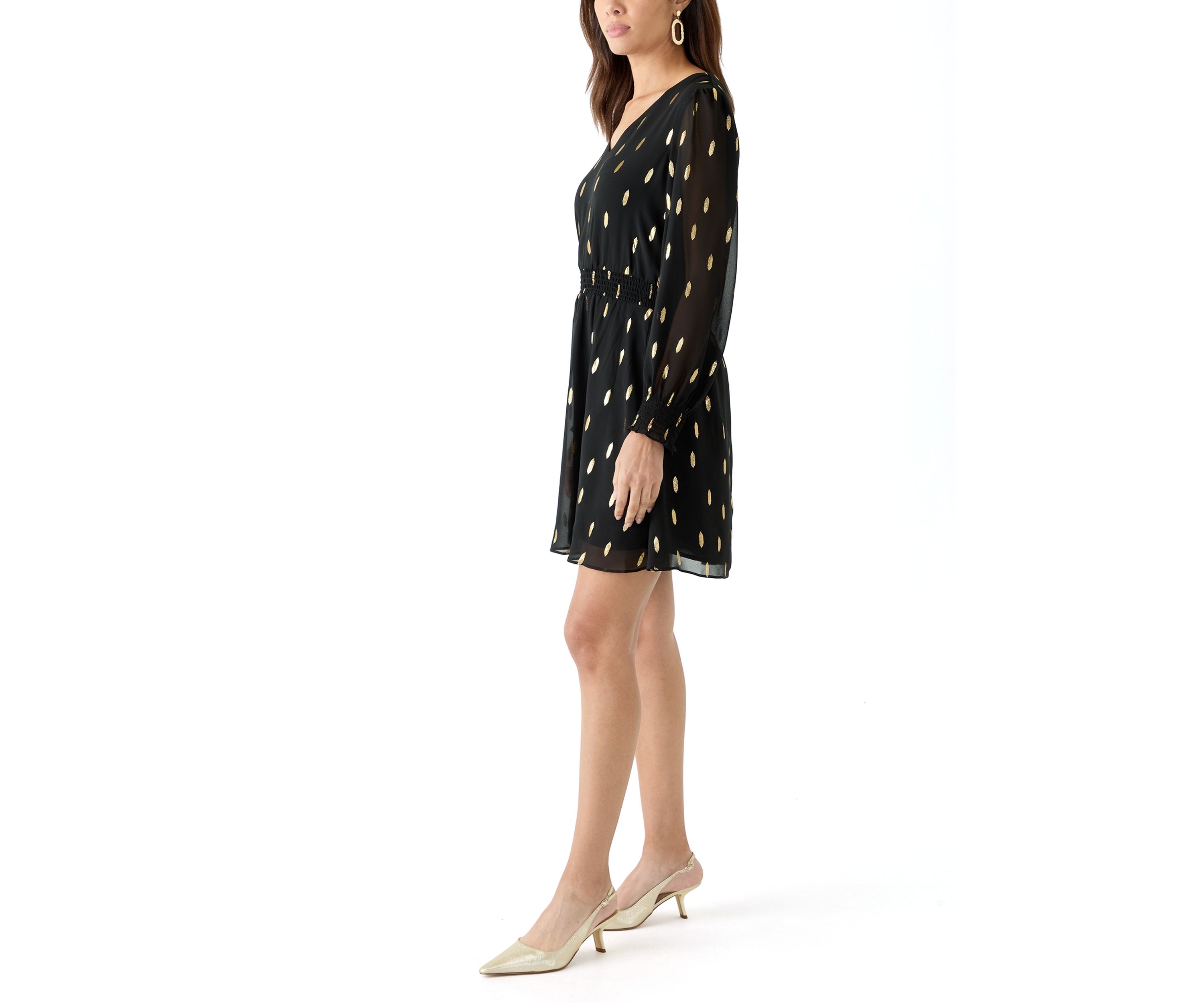 Womens Long Sleeve V-Neck Printed Chiffon Fit and Flare Dress