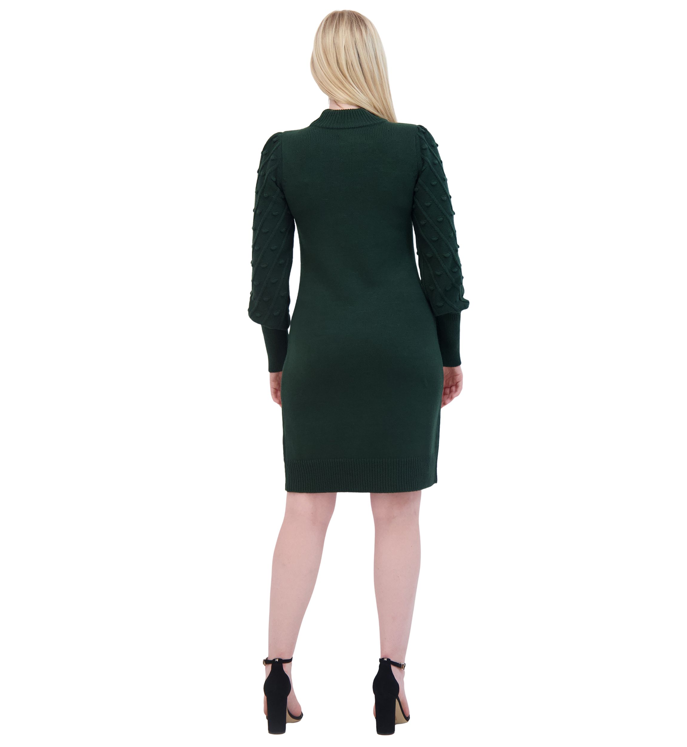 Womens Long Sleeve Mock Neck Solid A-Line Dress