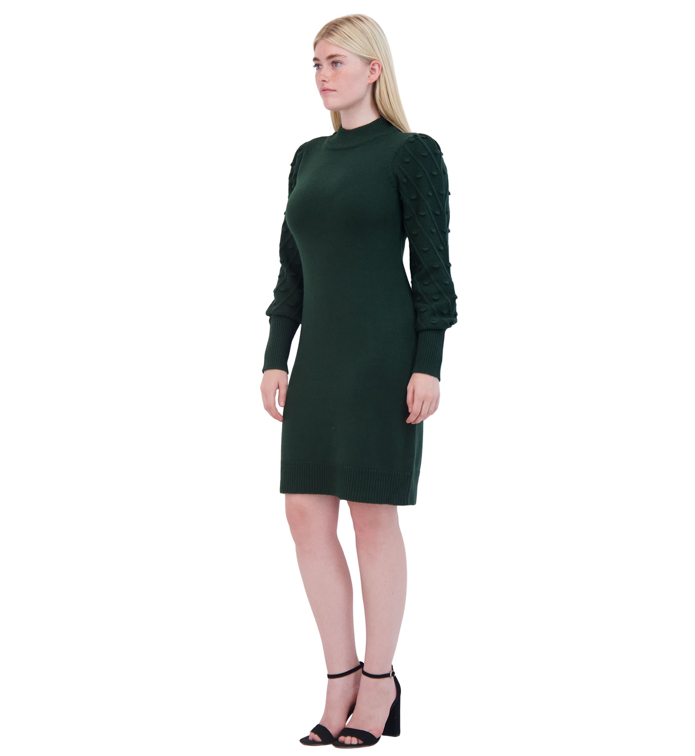 Womens Long Sleeve Mock Neck Solid A-Line Dress