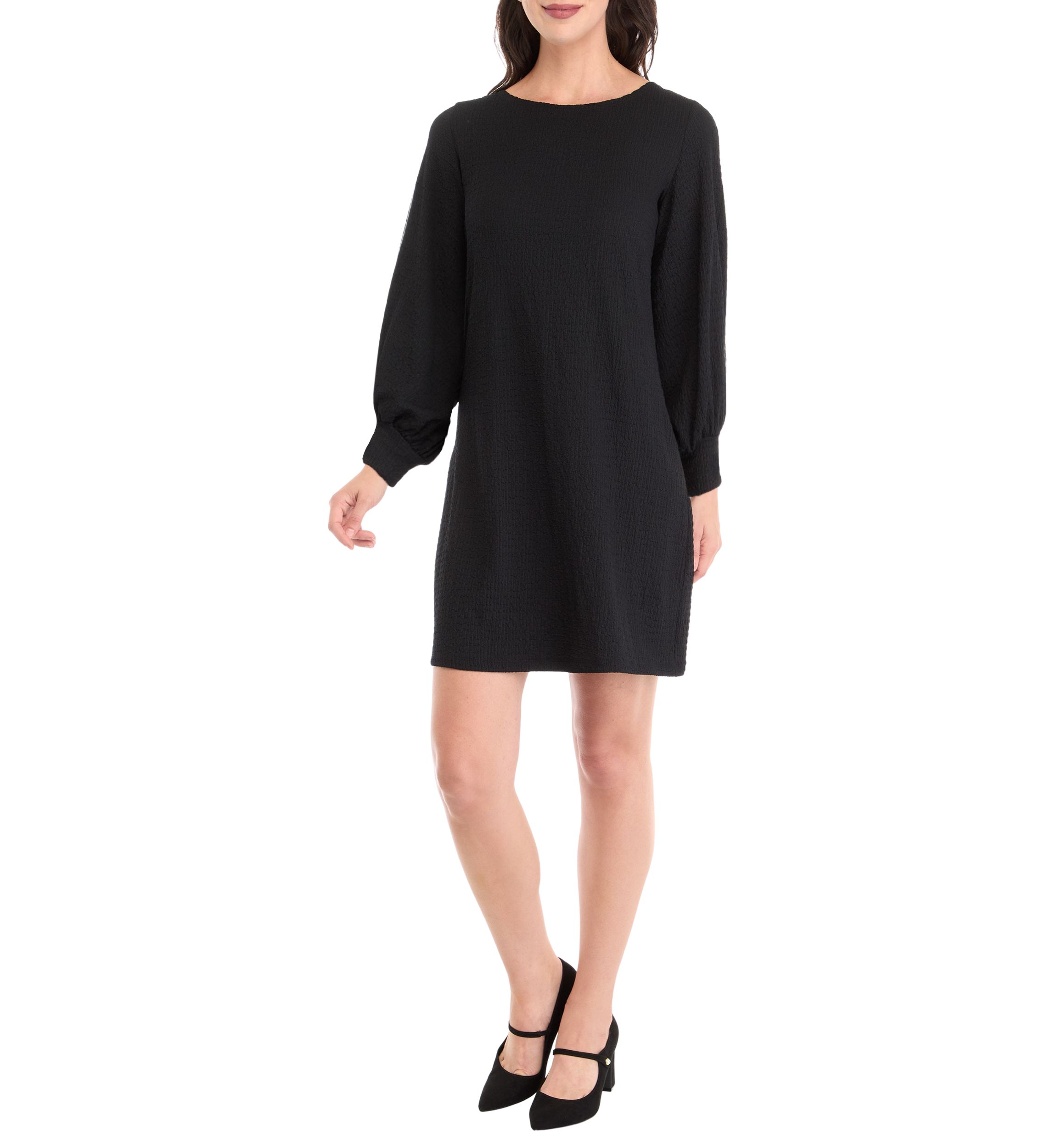 Womens Long Puff Sleeve Crew Neck Solid A-Line Dress
