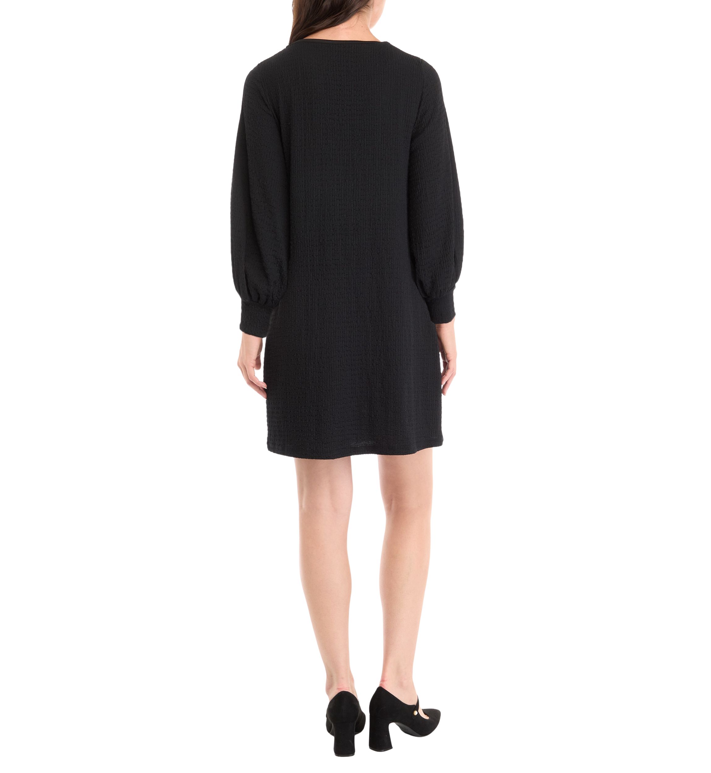 Womens Long Puff Sleeve Crew Neck Solid A-Line Dress