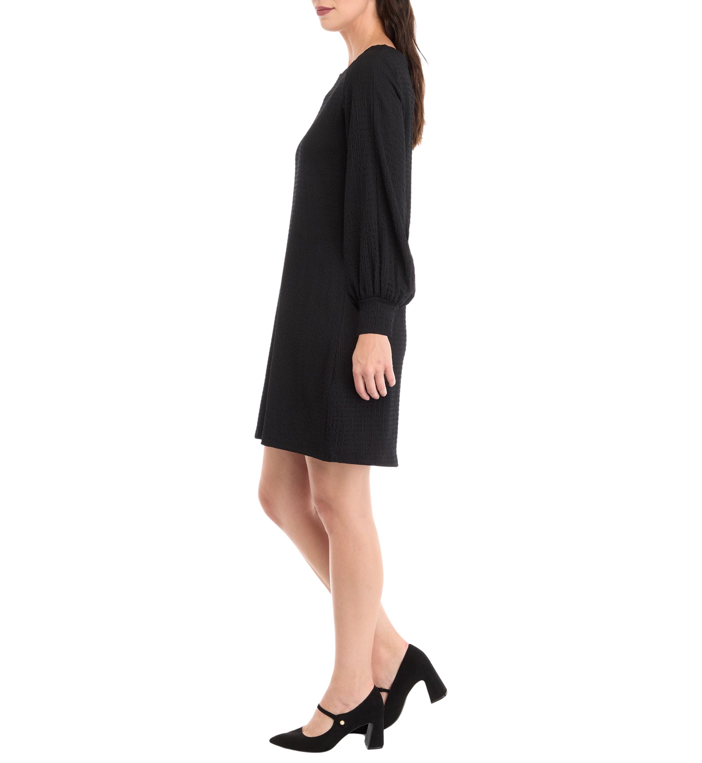 Womens Long Puff Sleeve Crew Neck Solid A-Line Dress