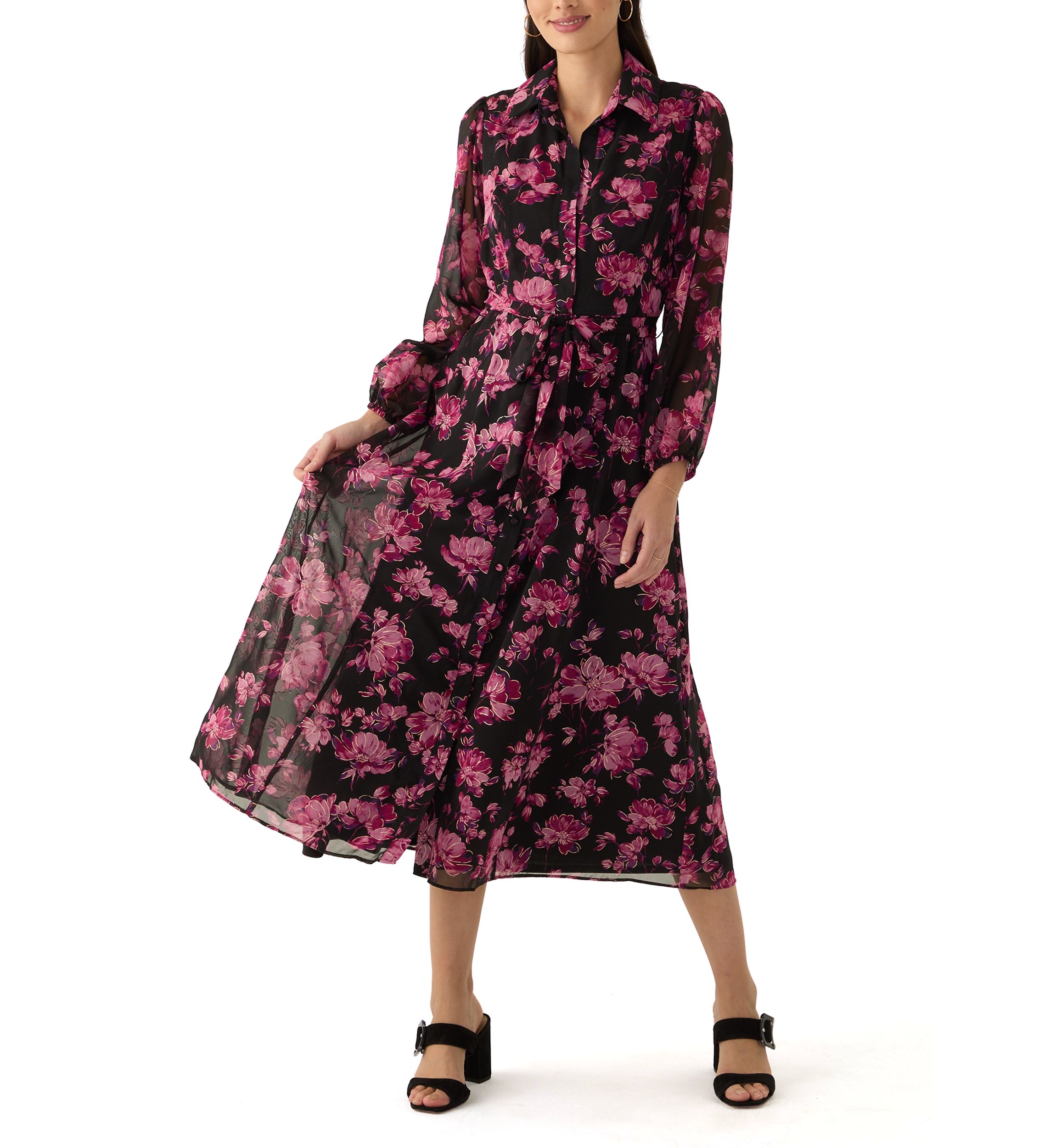 Womens Long Sleeve V-Neck Floral Print Chiffon Fit and Flare Dress