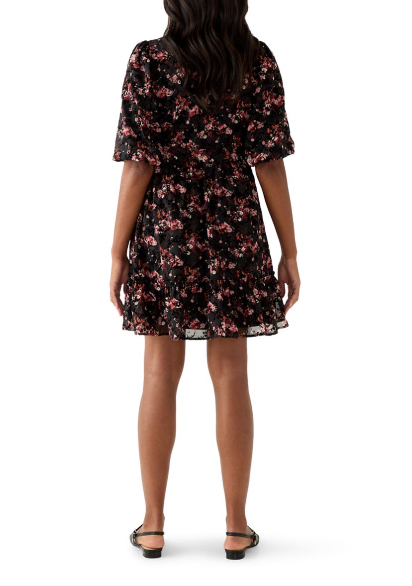 Womens Short Sleeve V-Neck Floral Print Chiffon Fit and Flare Dress