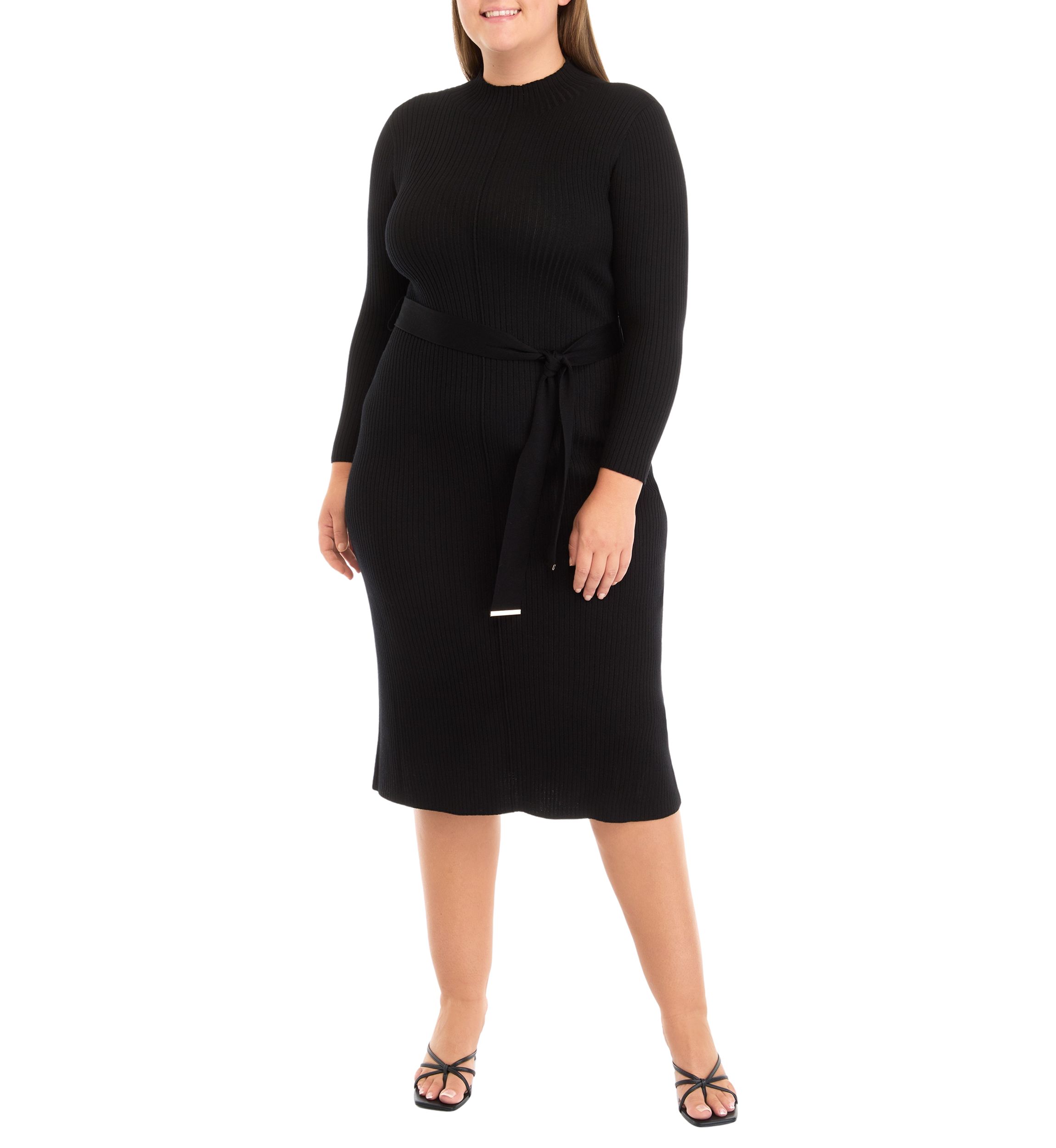 Plus Size Long Sleeve High Neck Belted Fit and Flare Dress