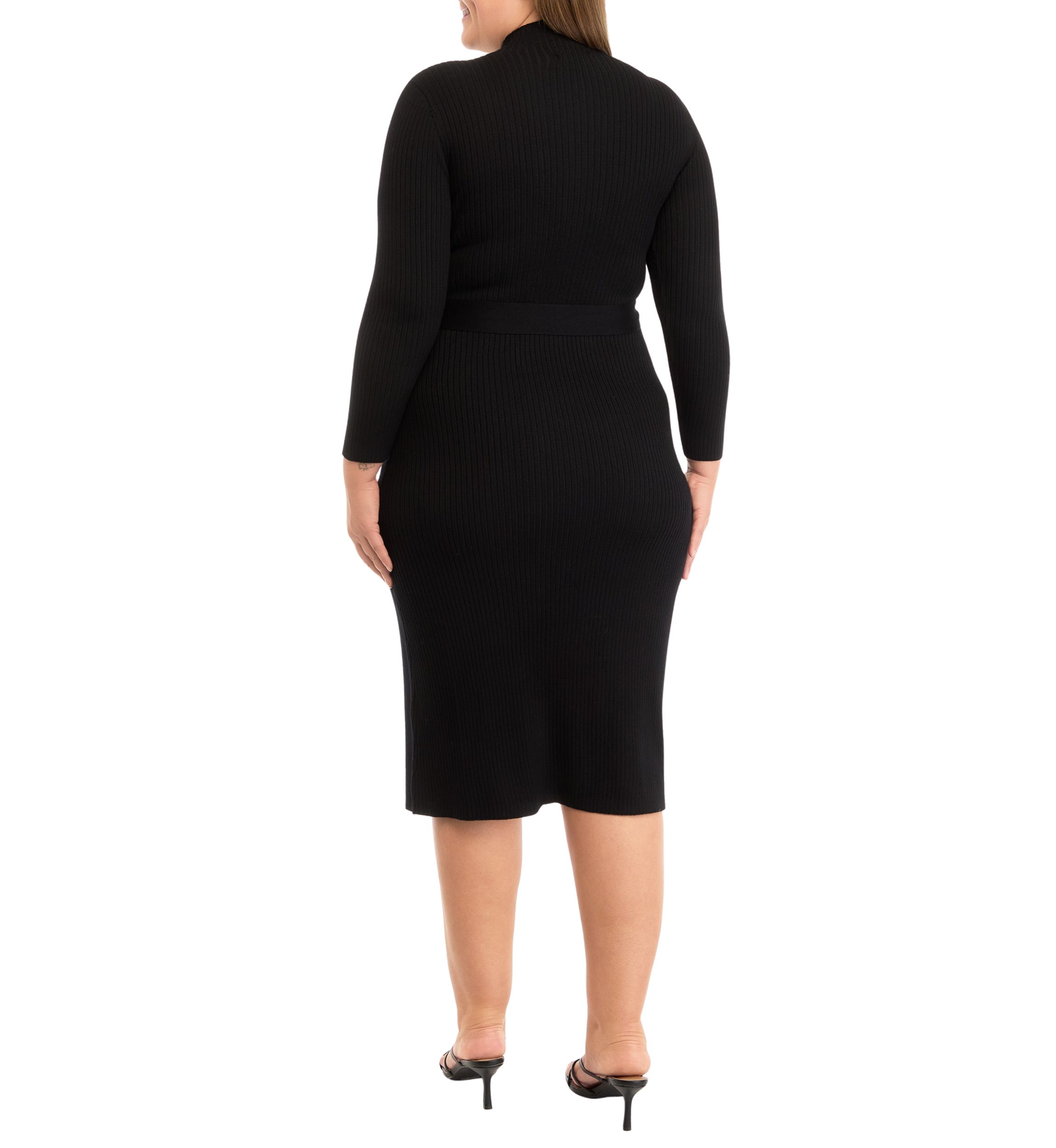 Plus Size Long Sleeve High Neck Belted Fit and Flare Dress