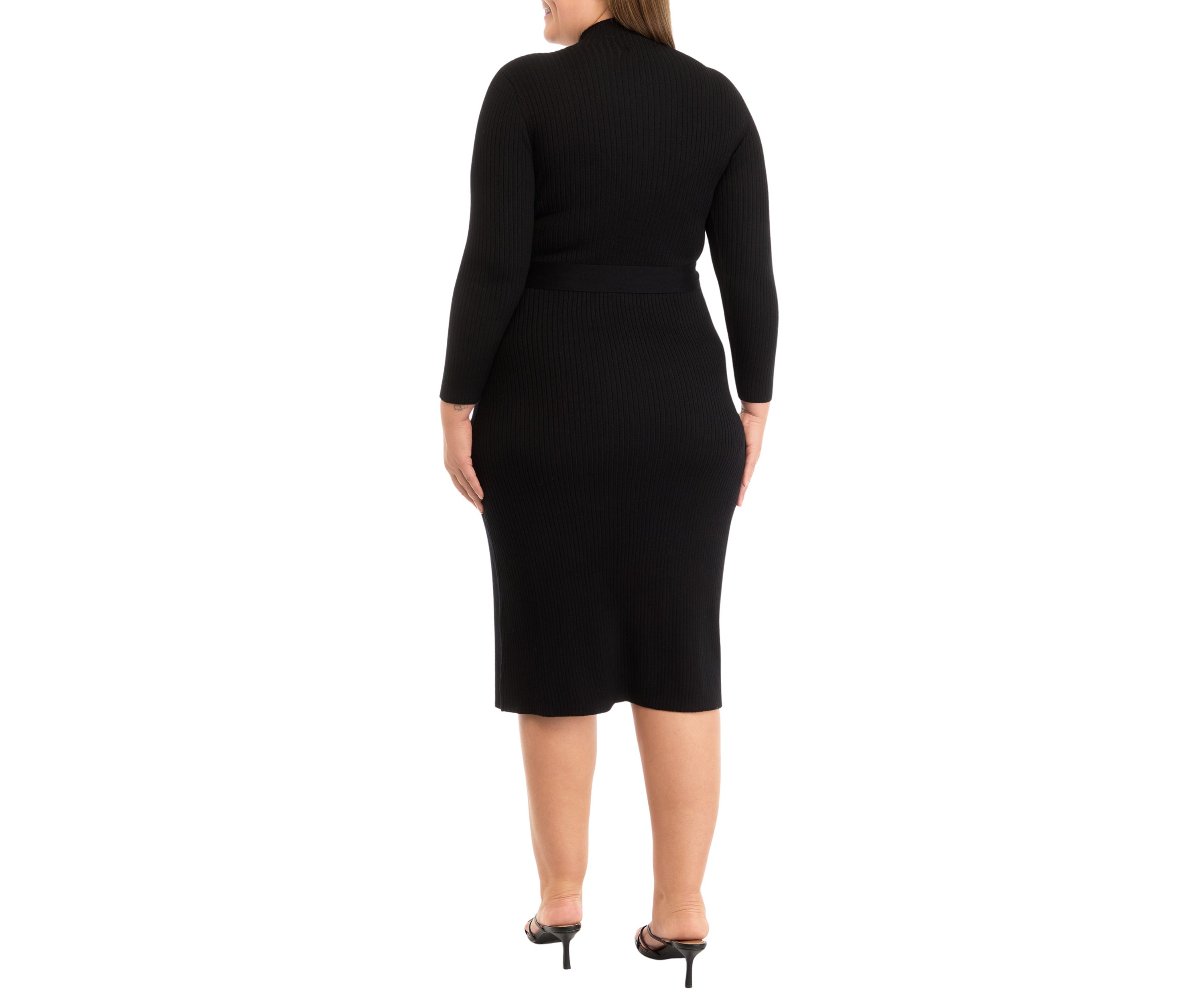 Plus Size Long Sleeve High Neck Belted Fit and Flare Dress