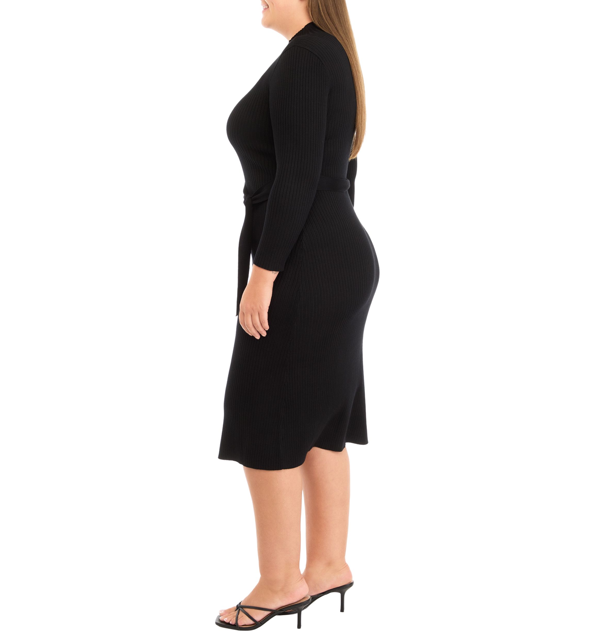 Plus Size Long Sleeve High Neck Belted Fit and Flare Dress