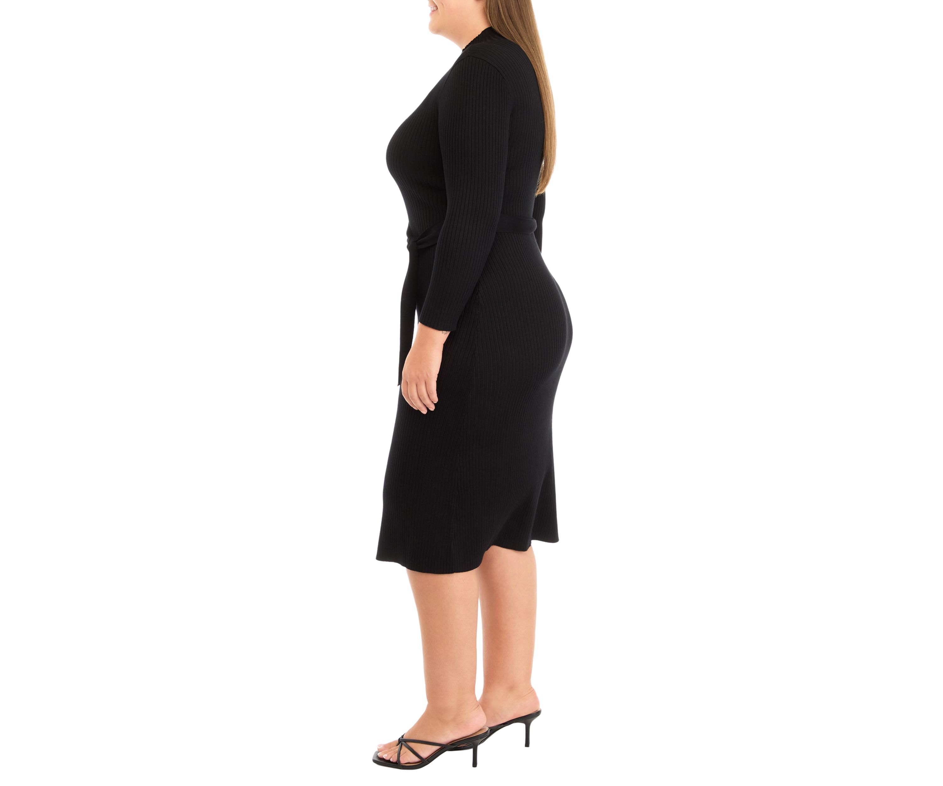 Plus Size Long Sleeve High Neck Belted Fit and Flare Dress