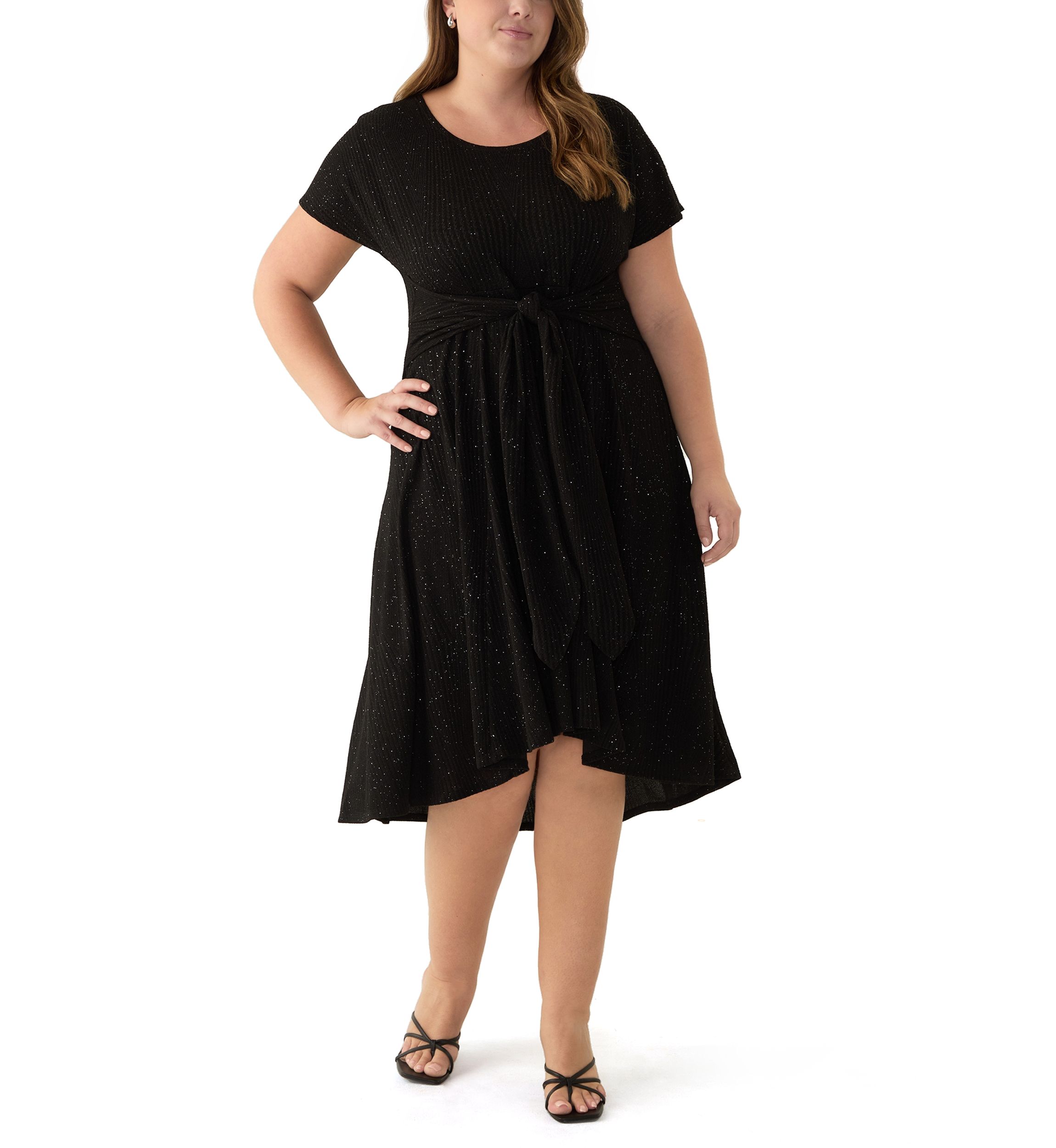 Plus Size Short Sleeve Crew Neck Tie Waist Glitter Knit Fit and Flare Dress