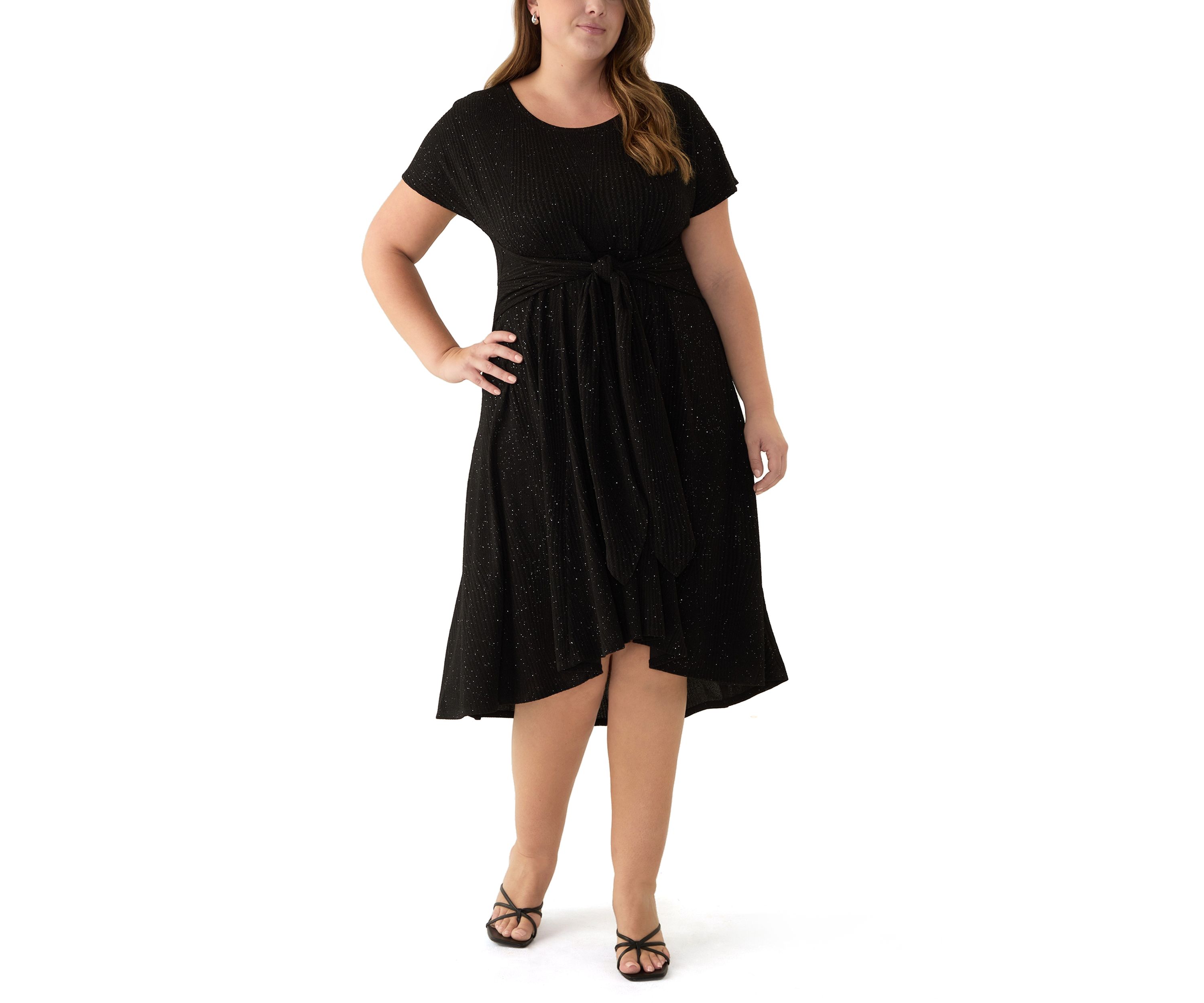 Plus Size Short Sleeve Crew Neck Tie Waist Glitter Knit Fit and Flare Dress