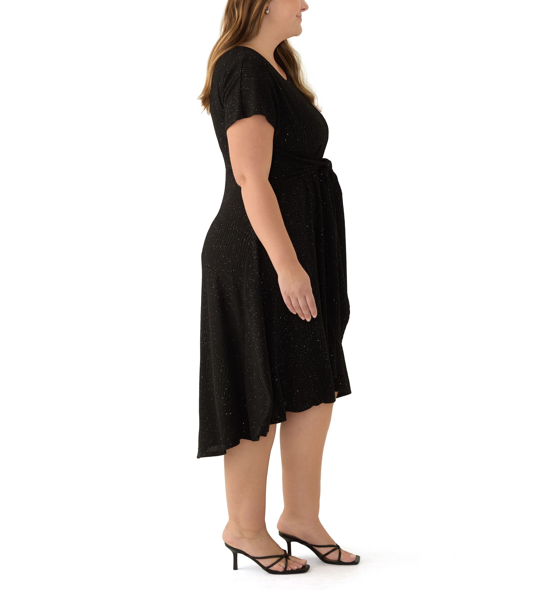 Plus Size Short Sleeve Crew Neck Tie Waist Glitter Knit Fit and Flare Dress