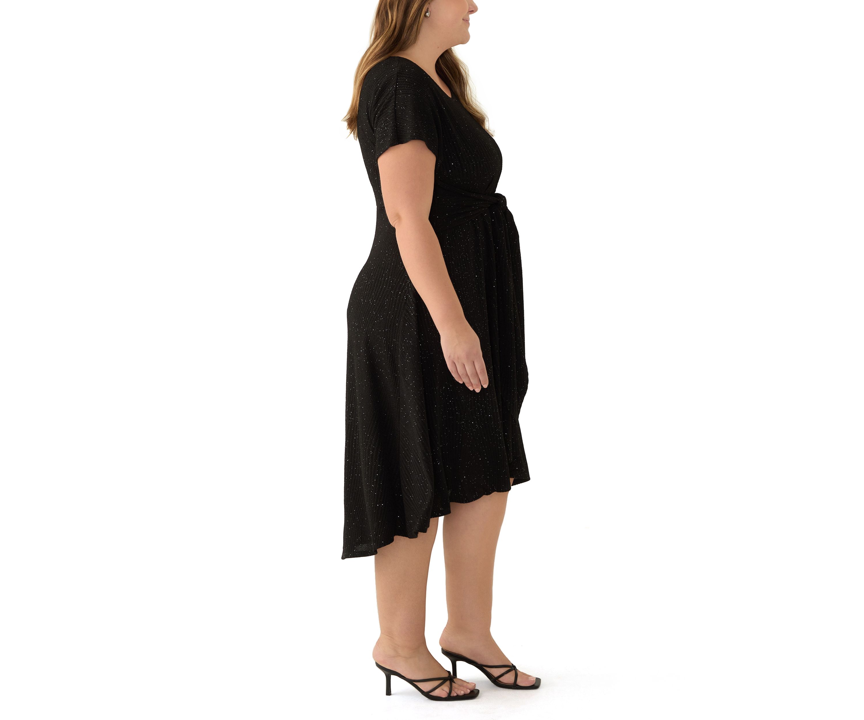 Plus Size Short Sleeve Crew Neck Tie Waist Glitter Knit Fit and Flare Dress