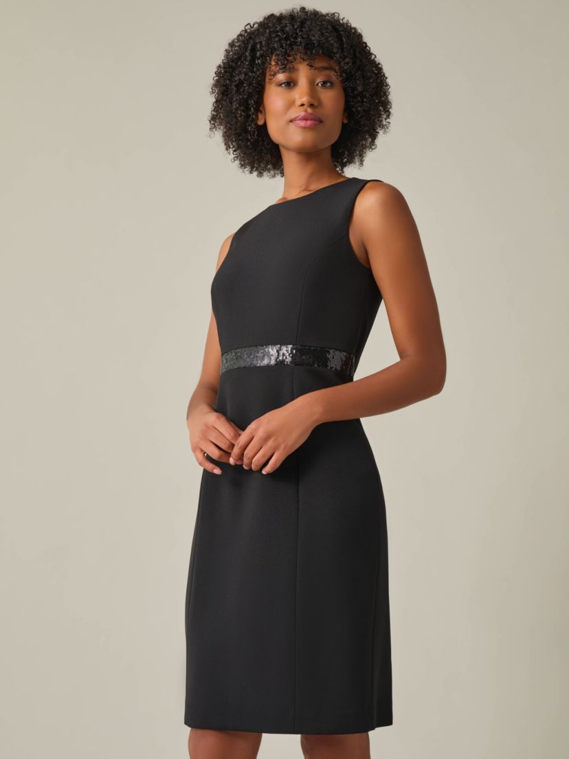 Womens Petite Sheath Dress With Sequin Trim