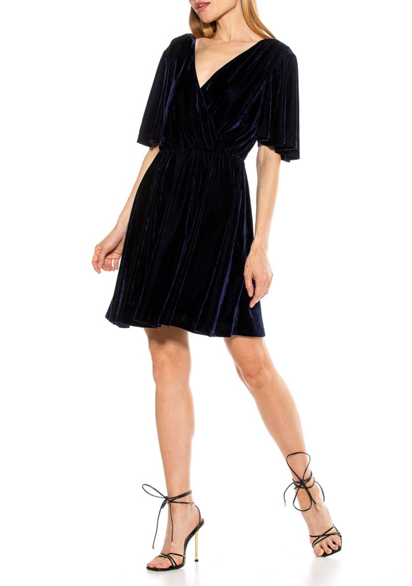 Oakless Velvet Fit And Flare Dress