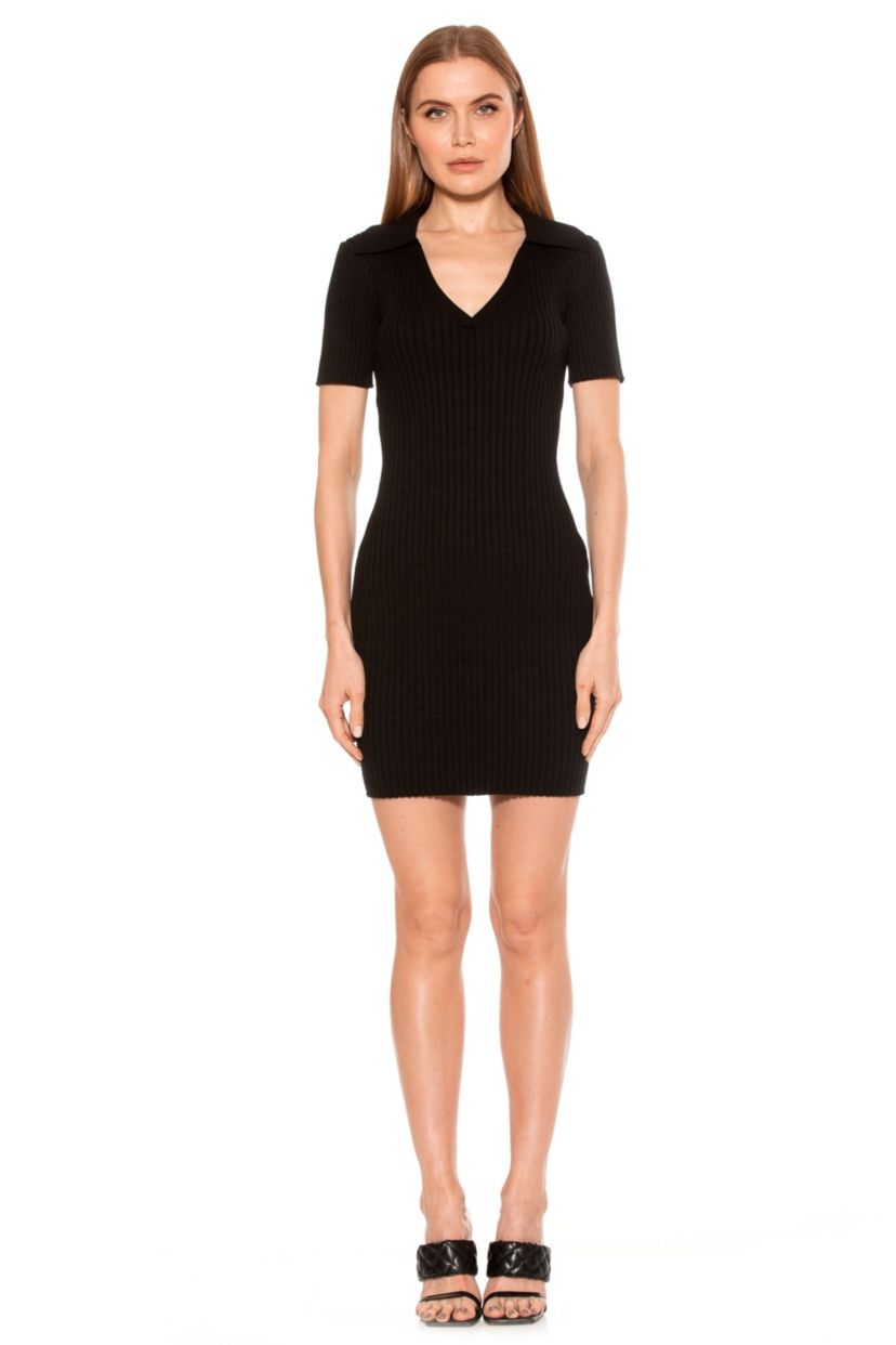 Sammi Knit Collar Mini Polo Dress