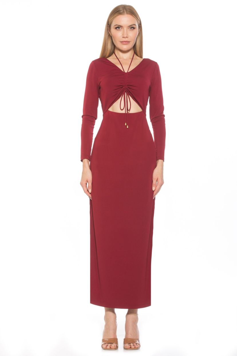 Farish Long Sleeve Maxi Dress