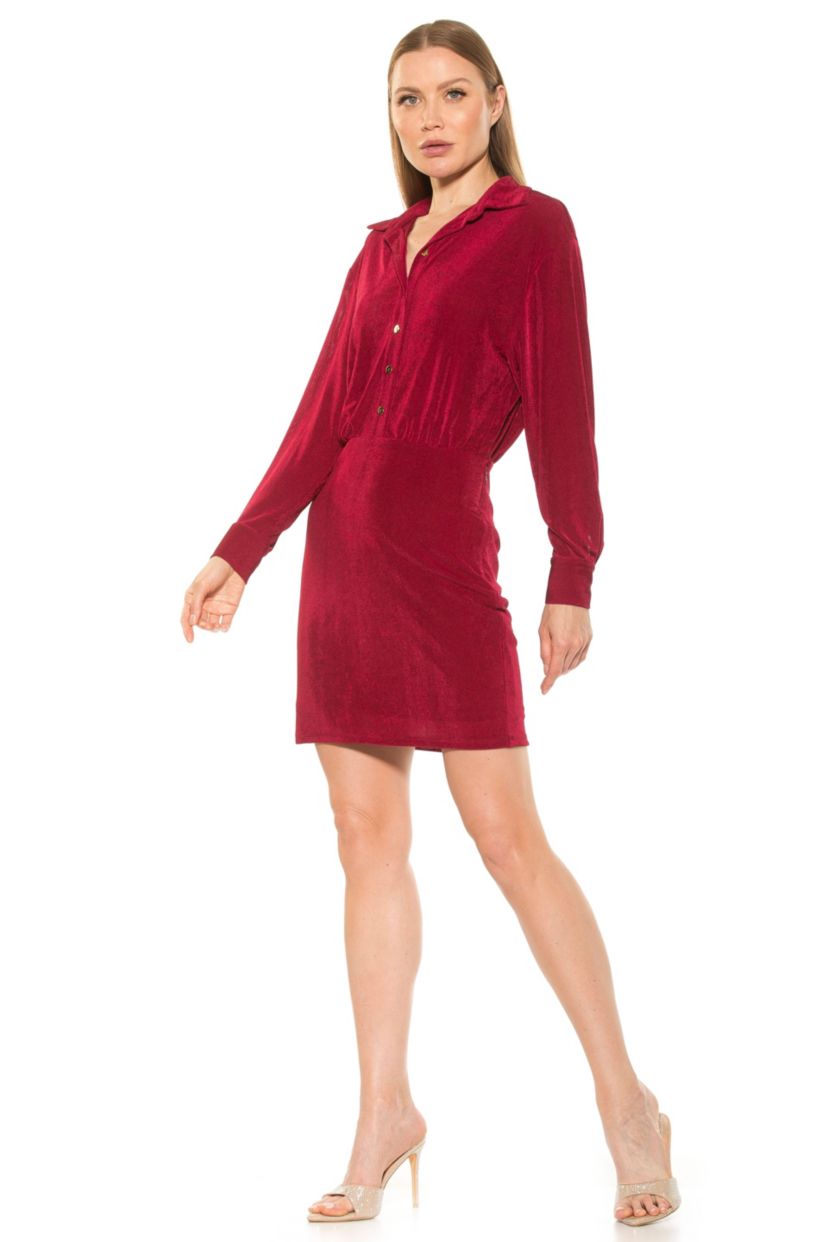 Avril Button Down Mini Shirt Dress
