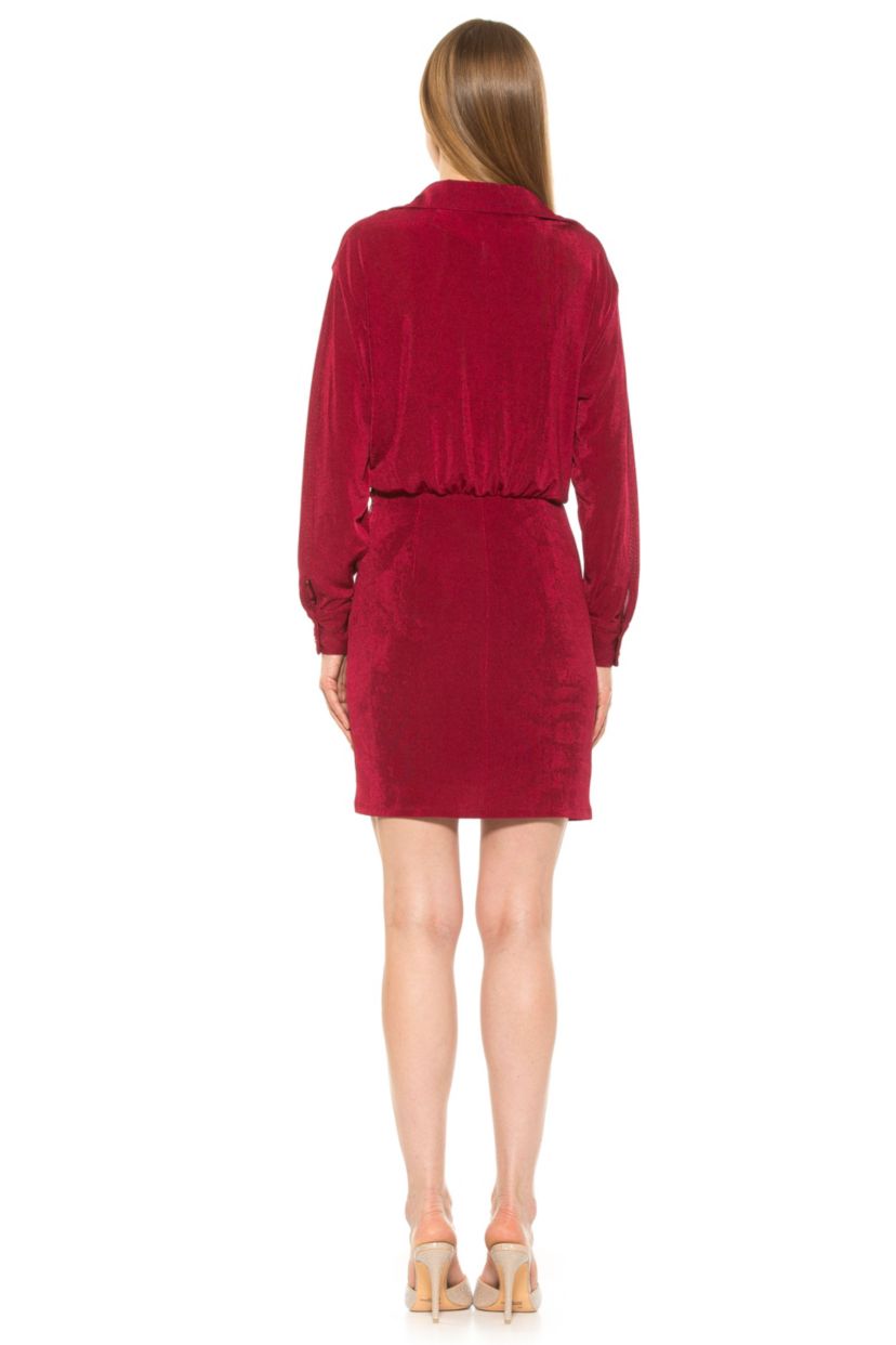 Avril Button Down Mini Shirt Dress