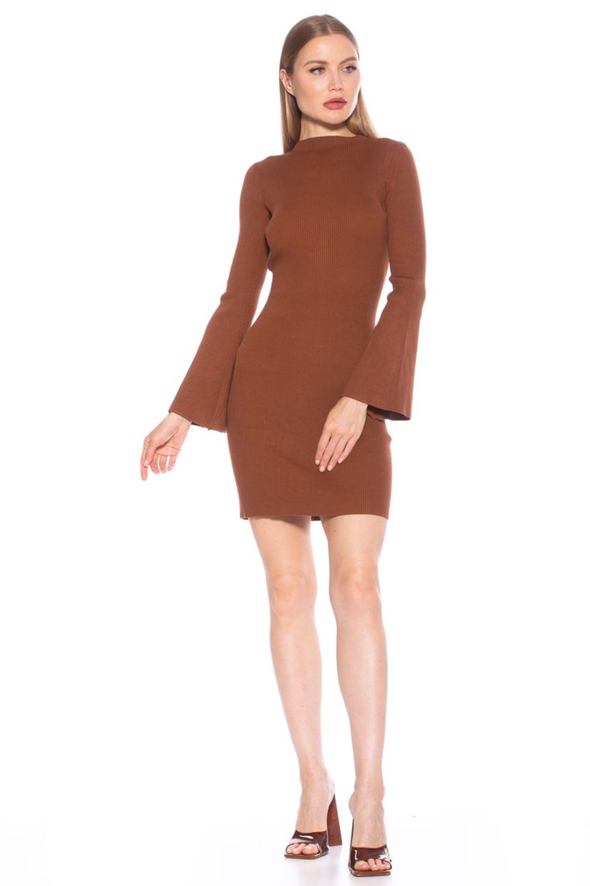 Sienna Turtleneck Knit Dress