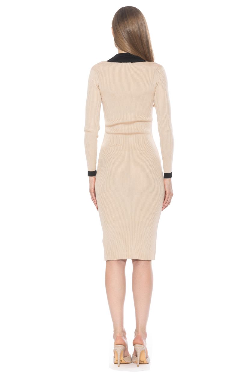 Cordelia Collared Midi Knit Dress
