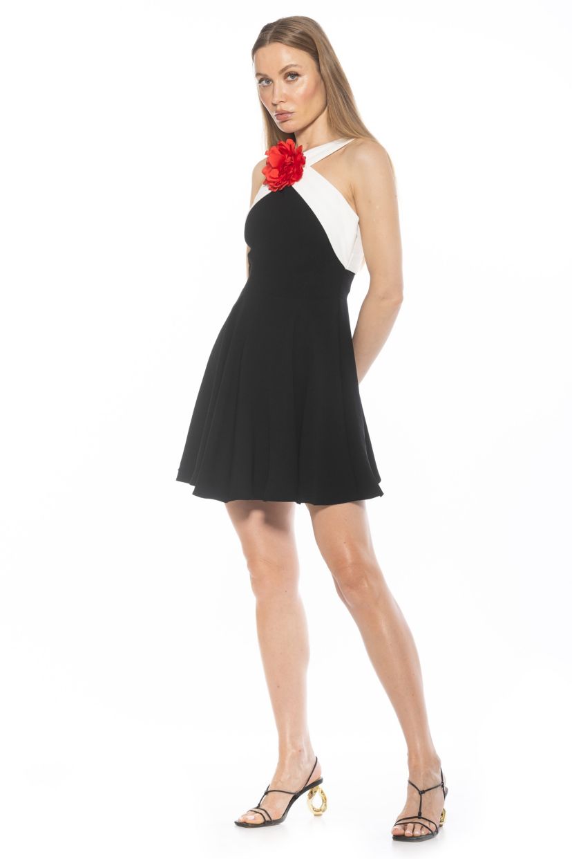 Alexi Halter Floral Fit And Flare Dress