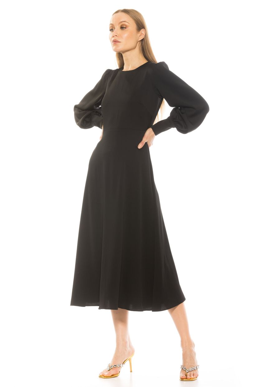 Sophie Crewneck Fit And Flare Dress