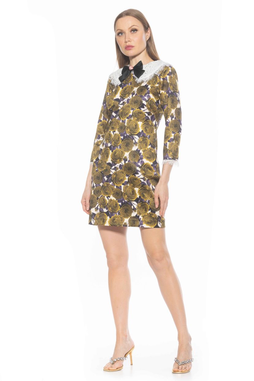 Monique Lace Collar Shift Dress