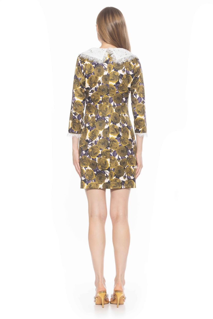 Monique Lace Collar Shift Dress