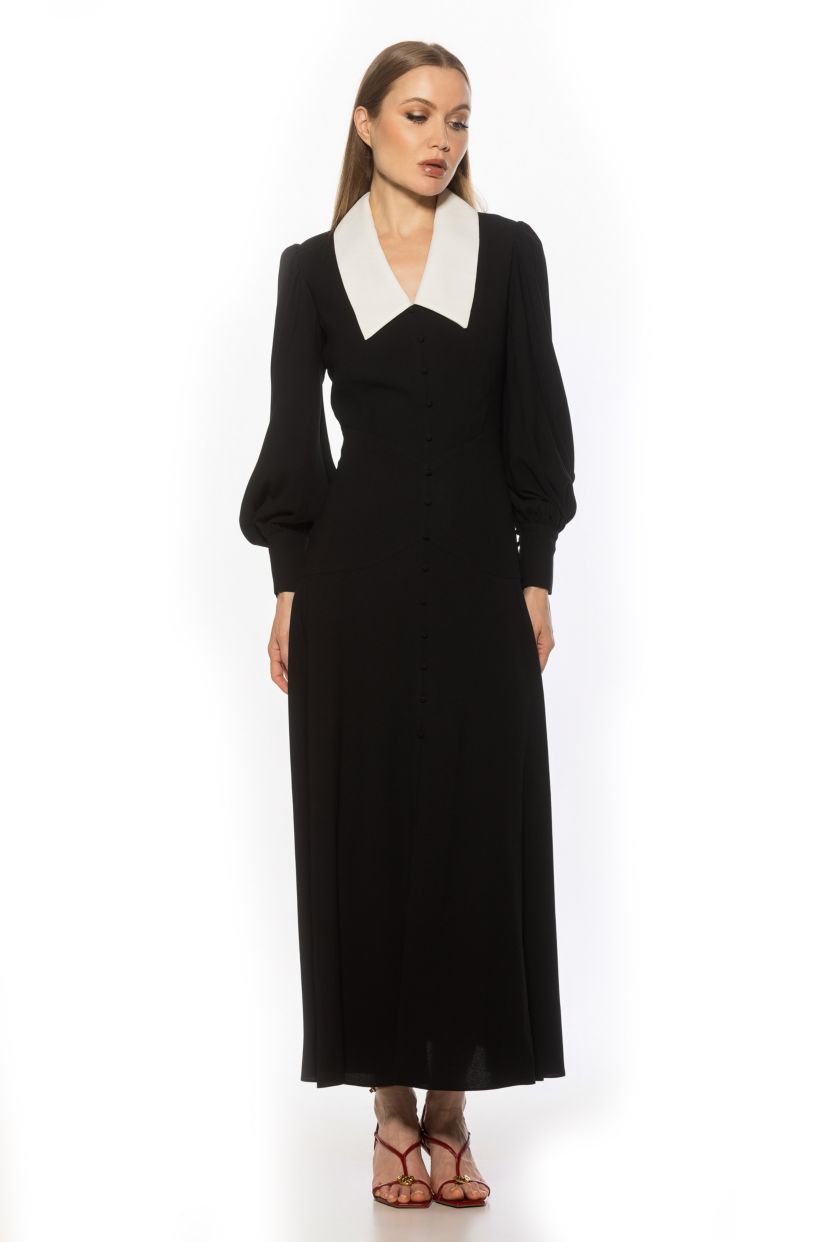 Kate Collared Button Down Dress