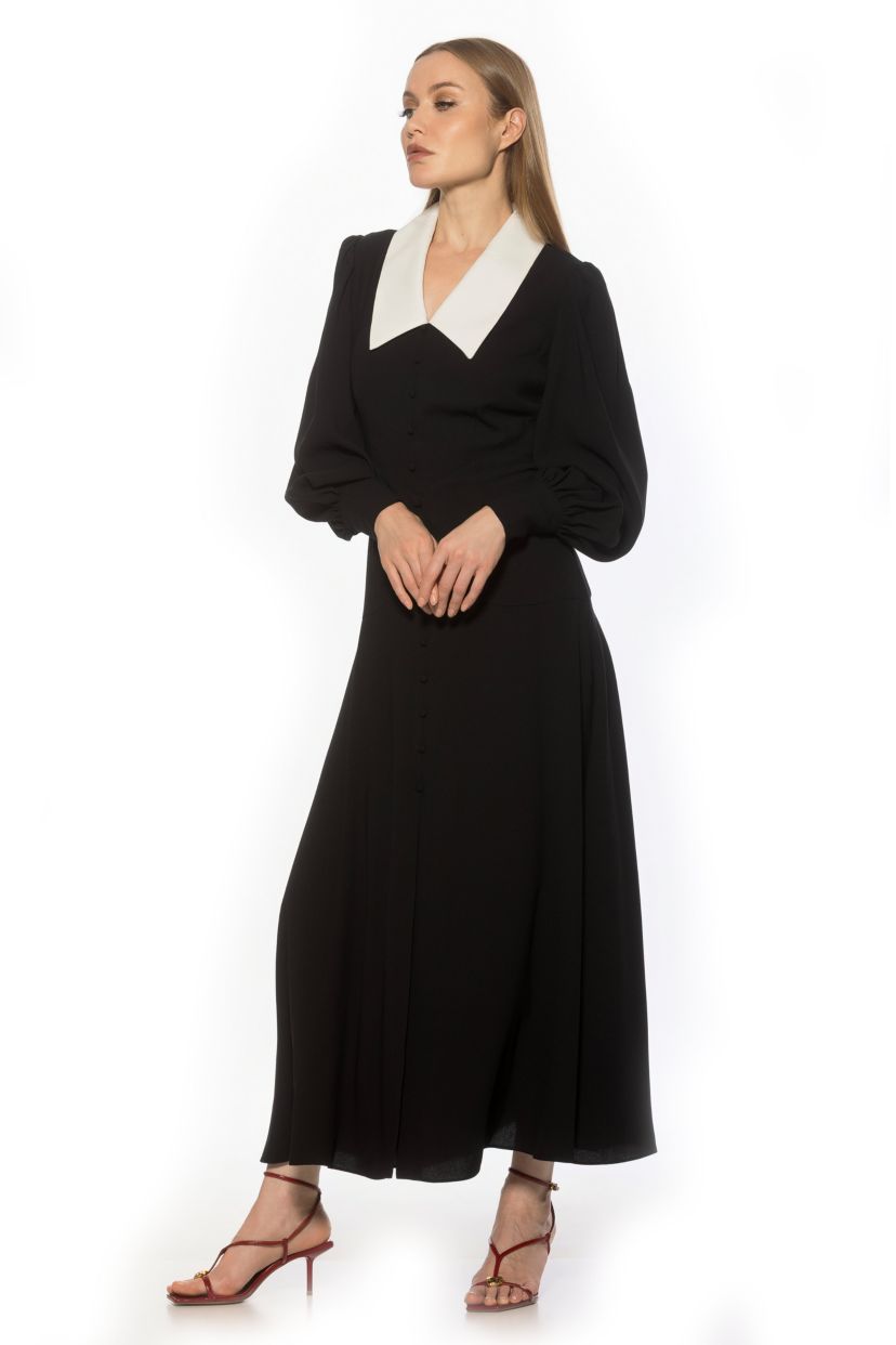 Kate Collared Button Down Dress
