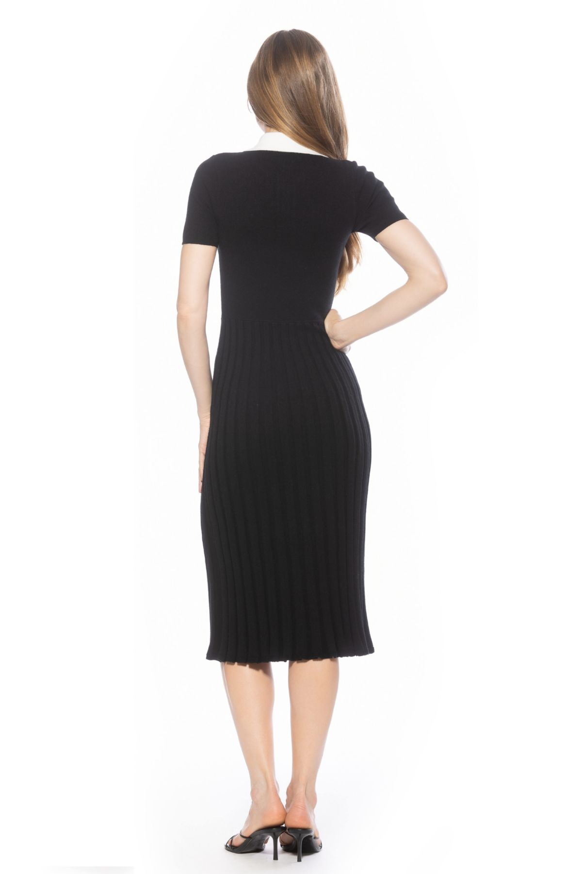 Lanie Collared Knit Midi Dress