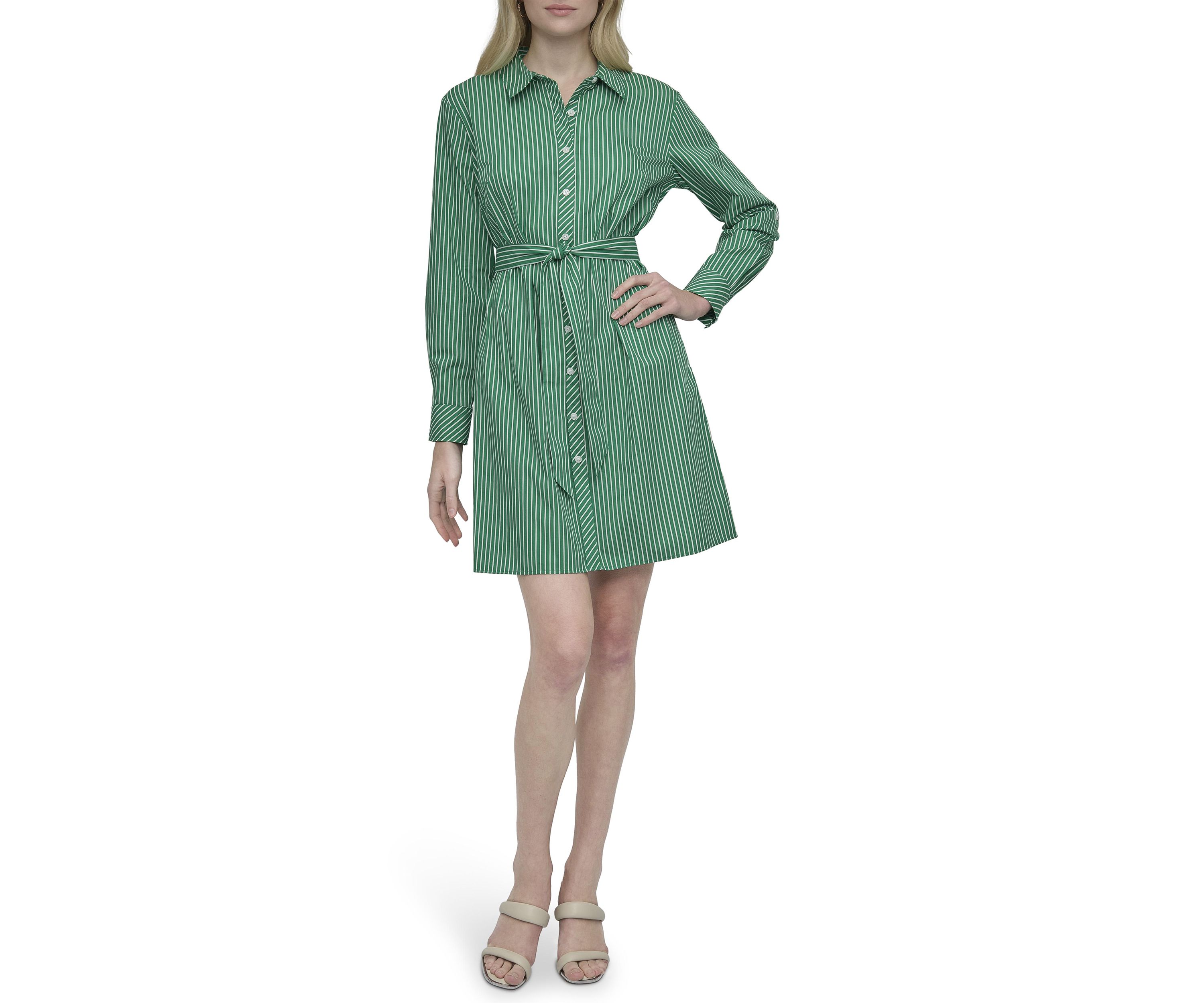 Womens Collared Stripe Printed Shirtdress