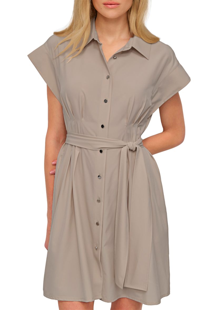 Womens Collared A-Line Dress