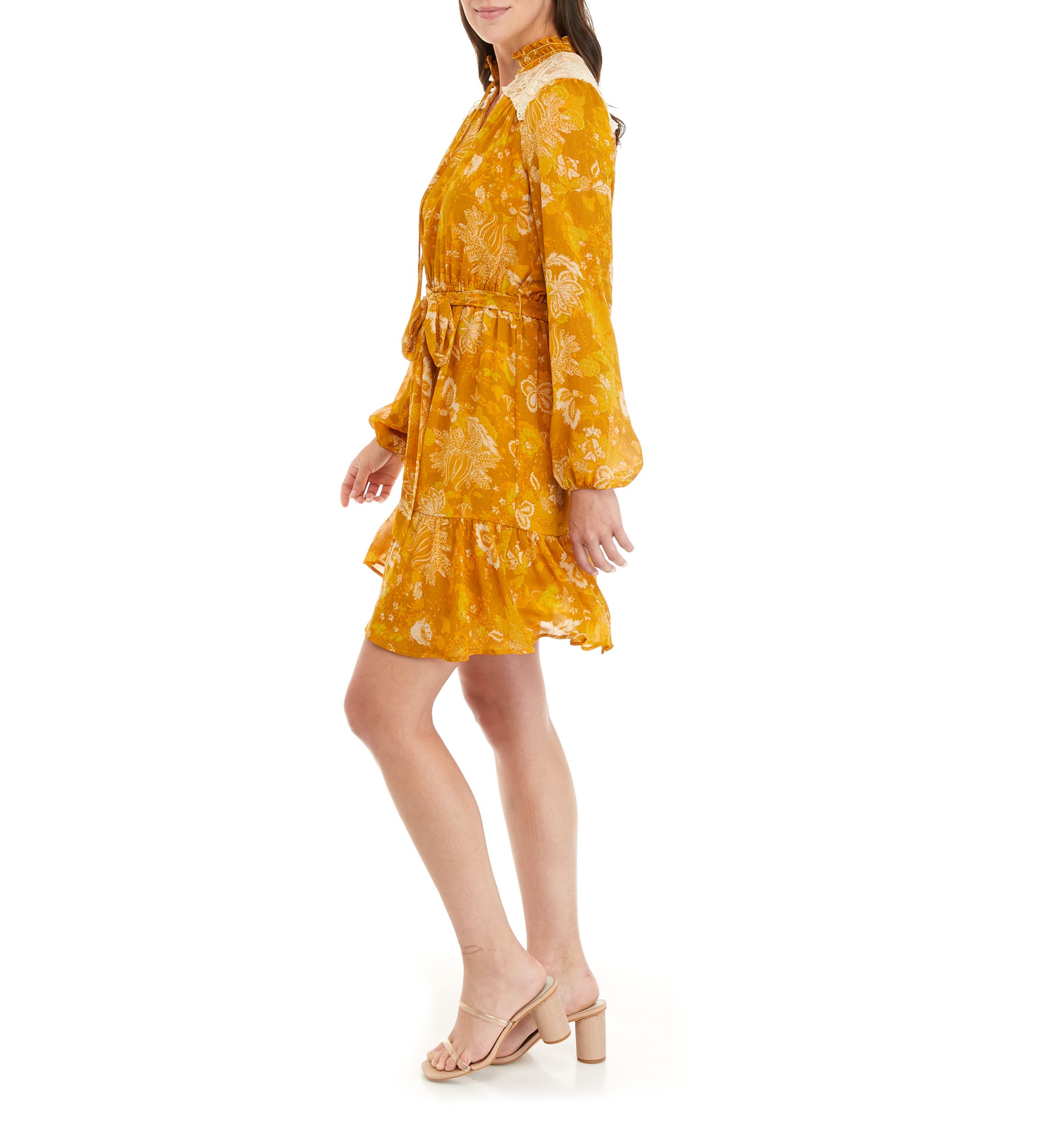 Womens Long Sleeve Button Front Tie Waist Printed Chiffon Dress