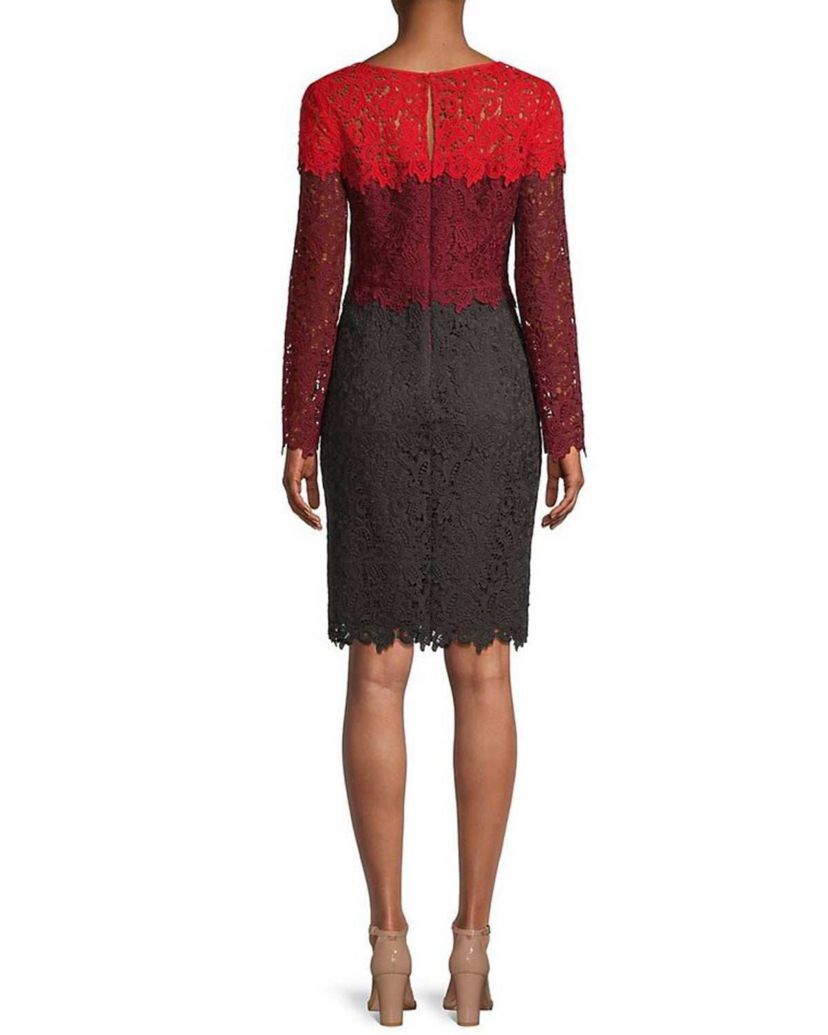 Ombre Lace Sheath Dress