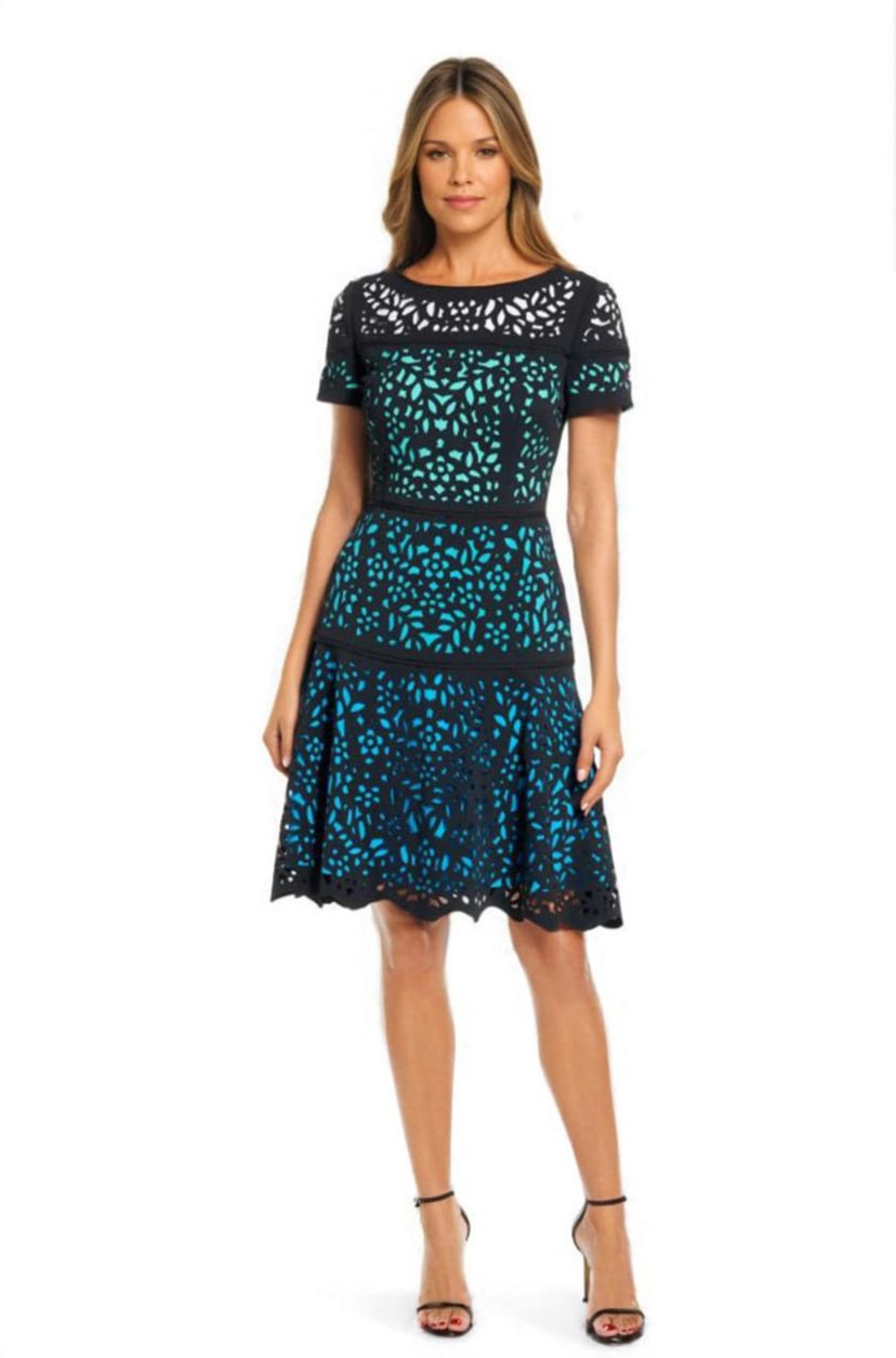 Ombre Laser Cut Fit and Fit Flare Dress