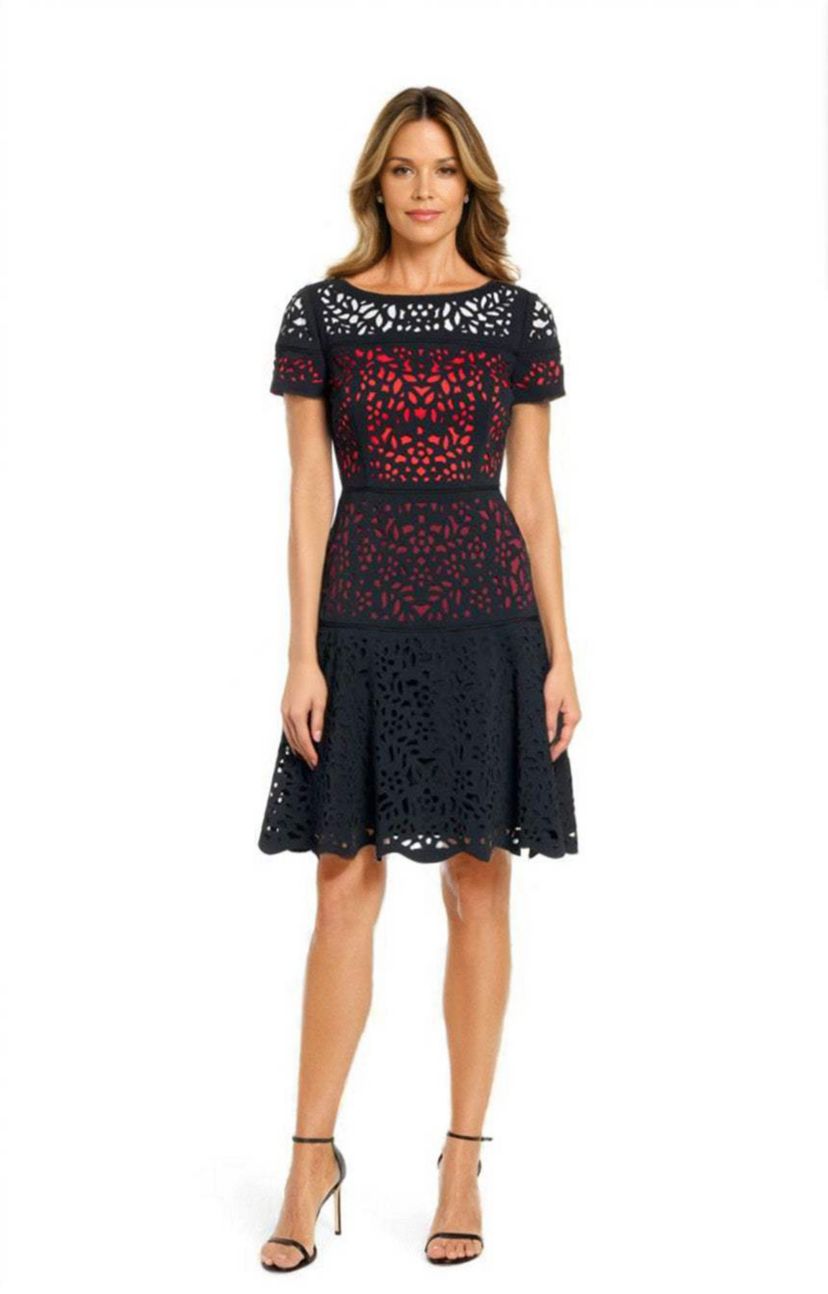 Ombre Laser Cut Fit and Fit Flare Dress