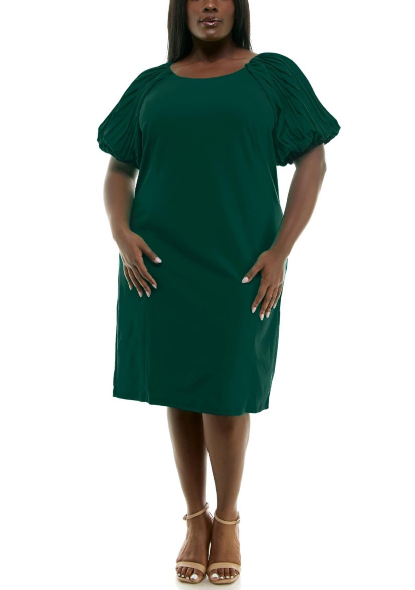 Nina Leonard Women's Puff Sleeve Sheath Dress, 2X