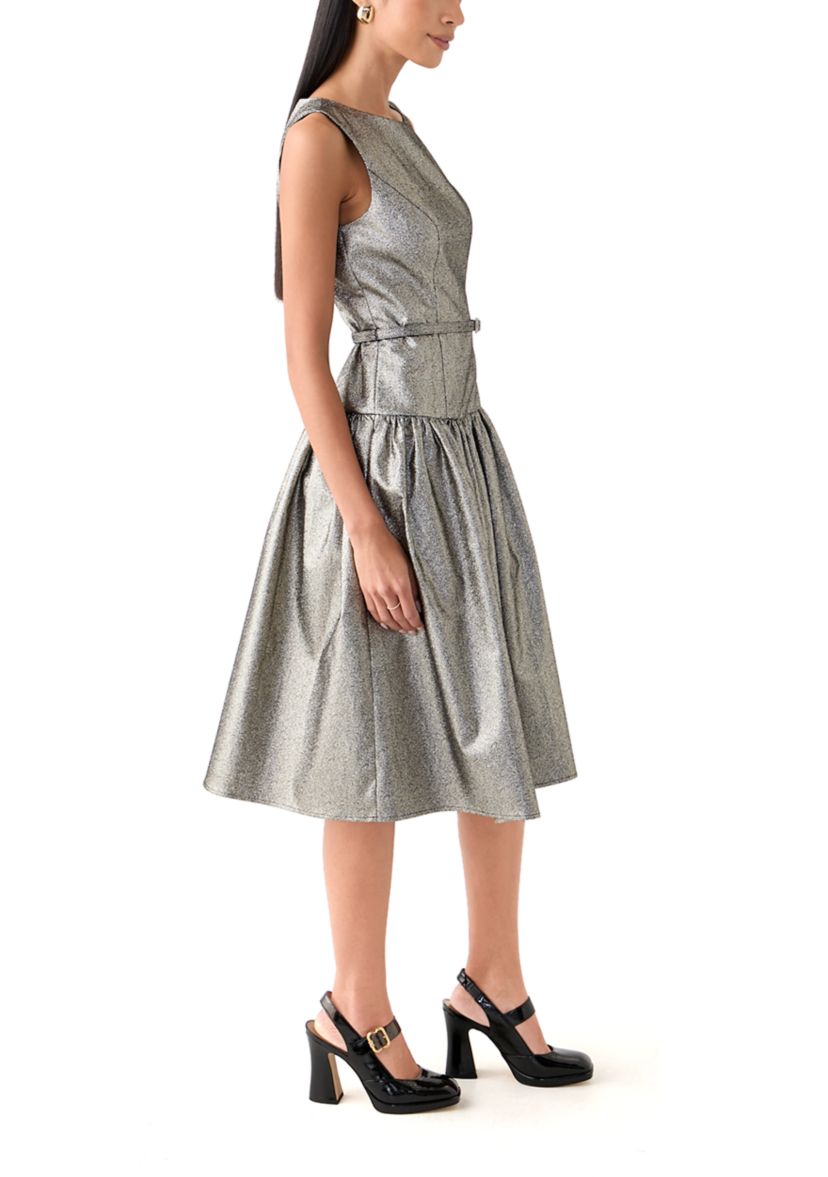 Womens Sleeveless Crew Neck Solid Belted Fit and Flare Dress