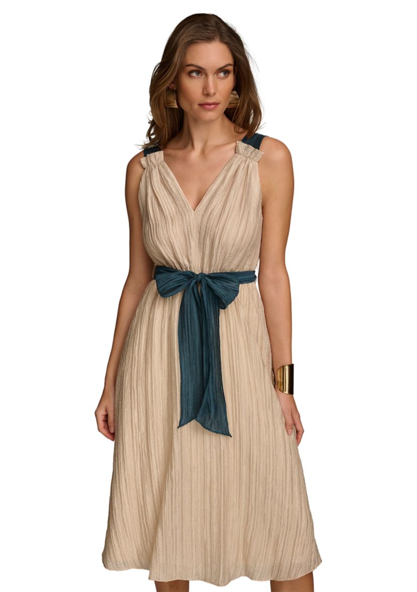 Womens Sleeveless V-Neck Solid Organza Fit and Flare Dress
