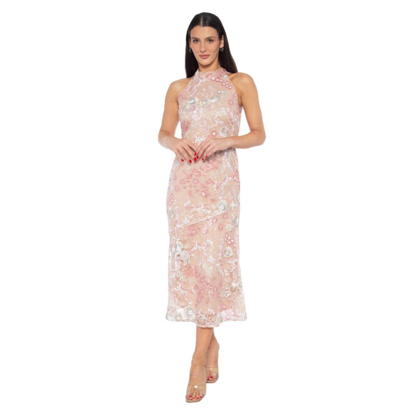 Sequin Embroidered Midi Dress
