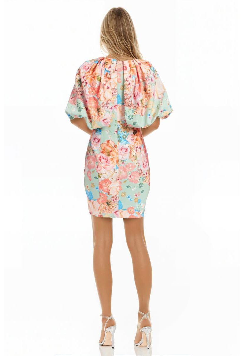 Puff Sleeve