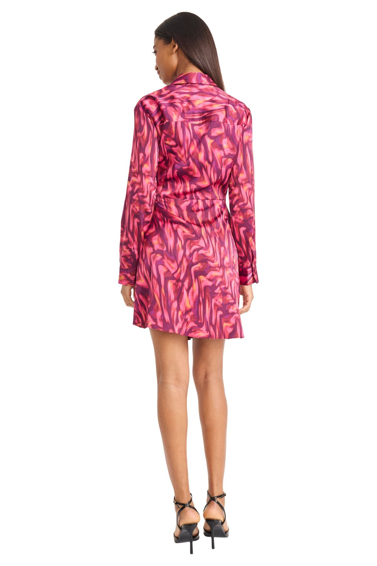 Long Sleeve Animal Printed Mesh Maxi Dress